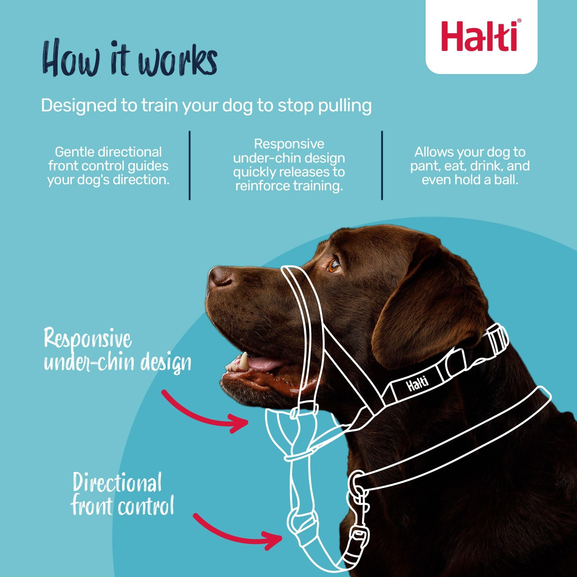 Halti Headcollar - Stops Pulling | Size 4 Large Dog | Forest Green Nylon 2