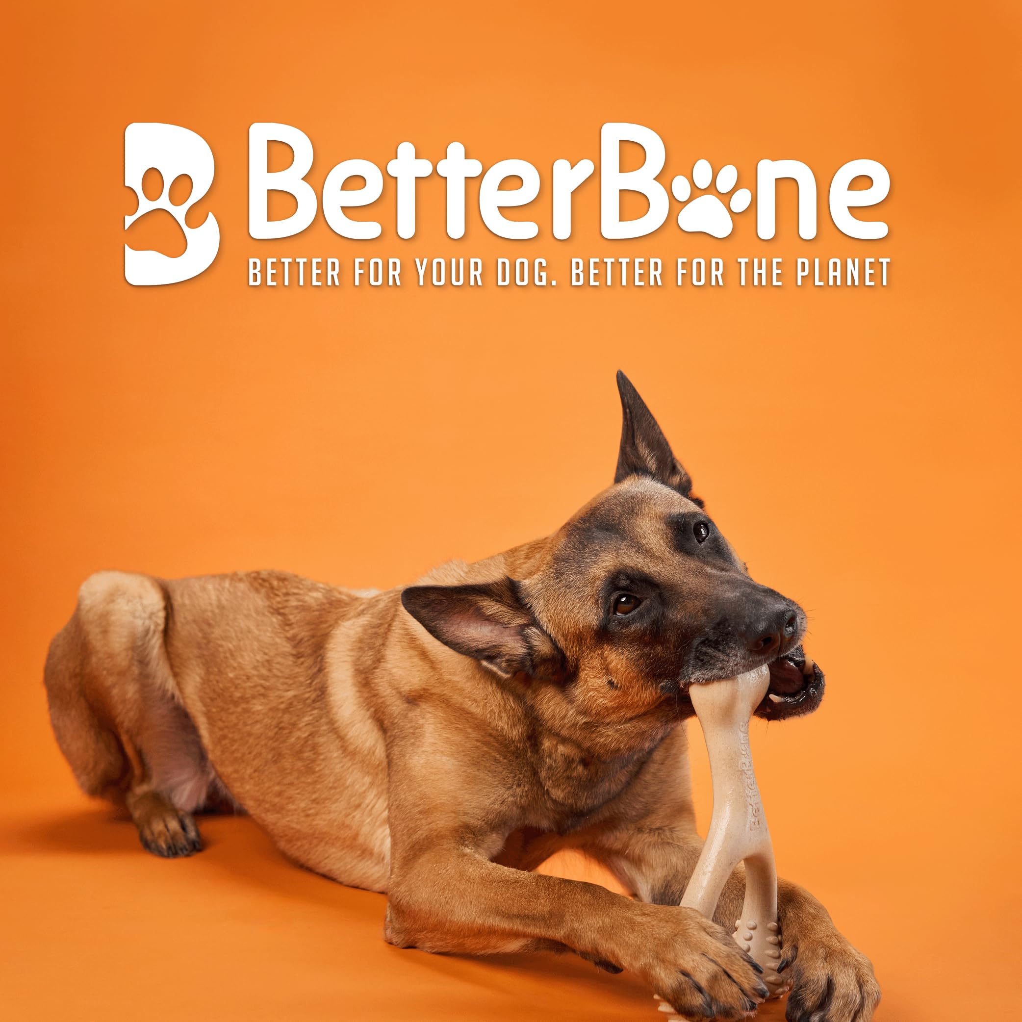 BetterBone Hard Dental Chew Toy - Enhanced Durability | Non-Toxic | Small Size for Dogs 2