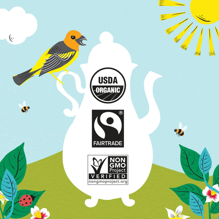 Clipper Organic Latin American Instant Decaf Coffee | 6 x 100g Jars | Fairtrade & Non-GM