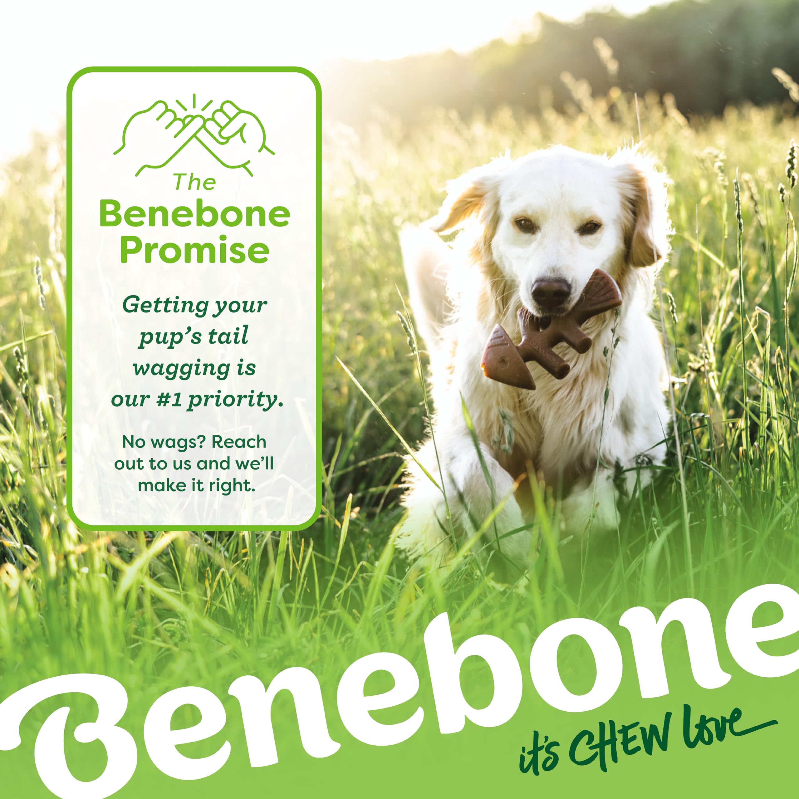 Benebone Indestructible Dog Chew Toy Gift Box - 4 Pack for Large Dogs up to 41kg 7