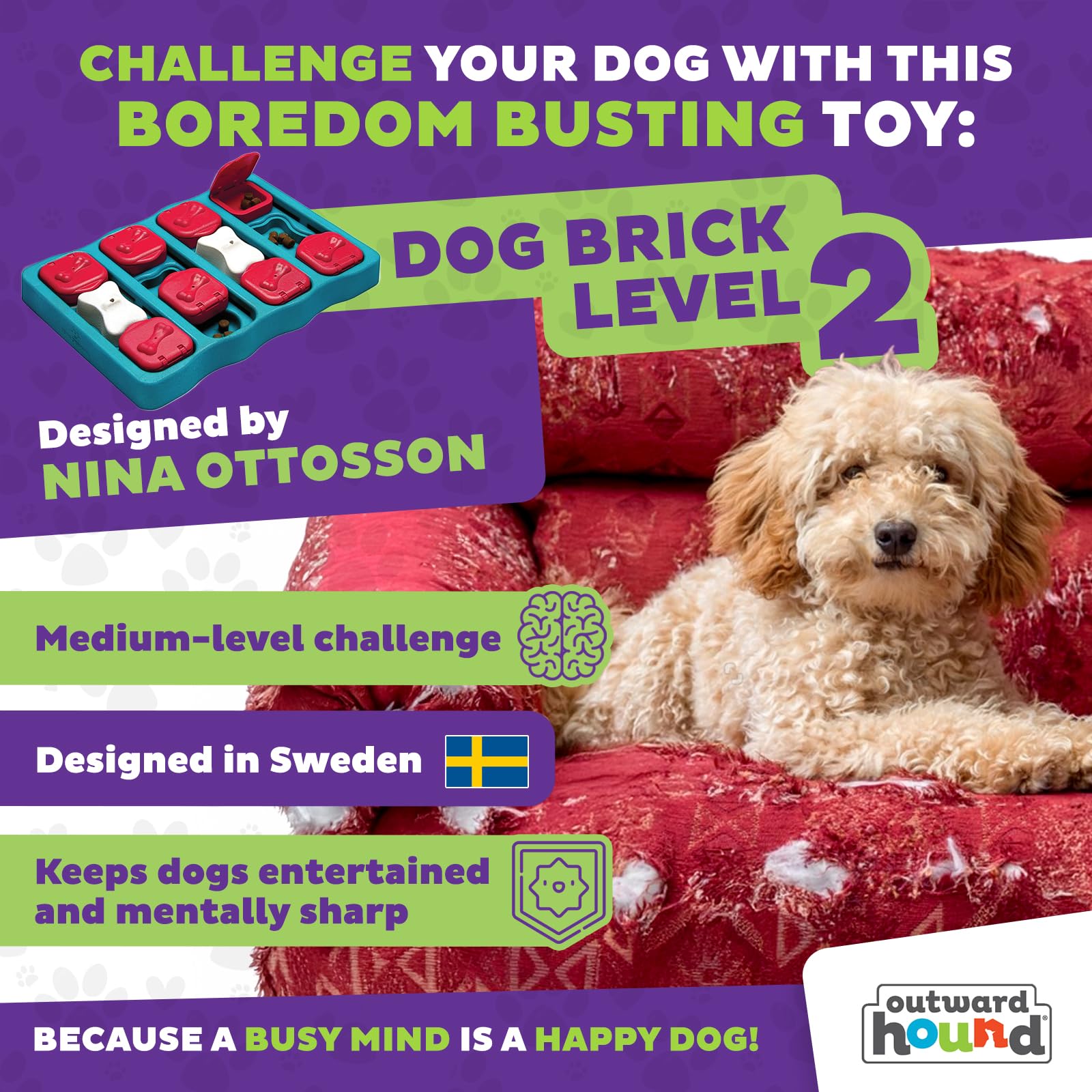 Outward Hound Nina Ottosson Dog Brick Interactive Treat Puzzle Toy - Level 2 Intermediate | Plastic 2