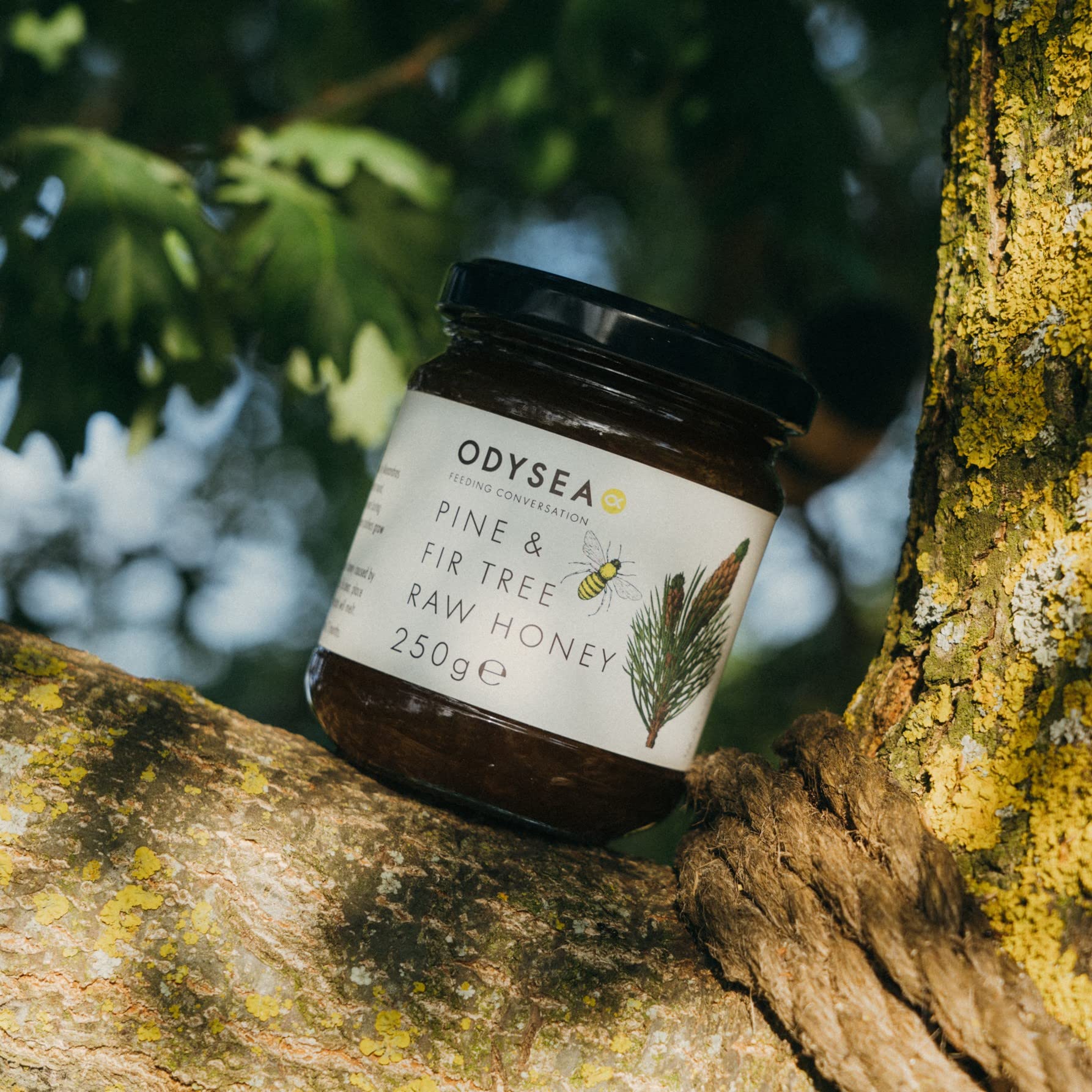 Odysea Greek Raw Pine & Fir Honey - 100% Unprocessed | 250g Jar | Great Taste Award Winner 4
