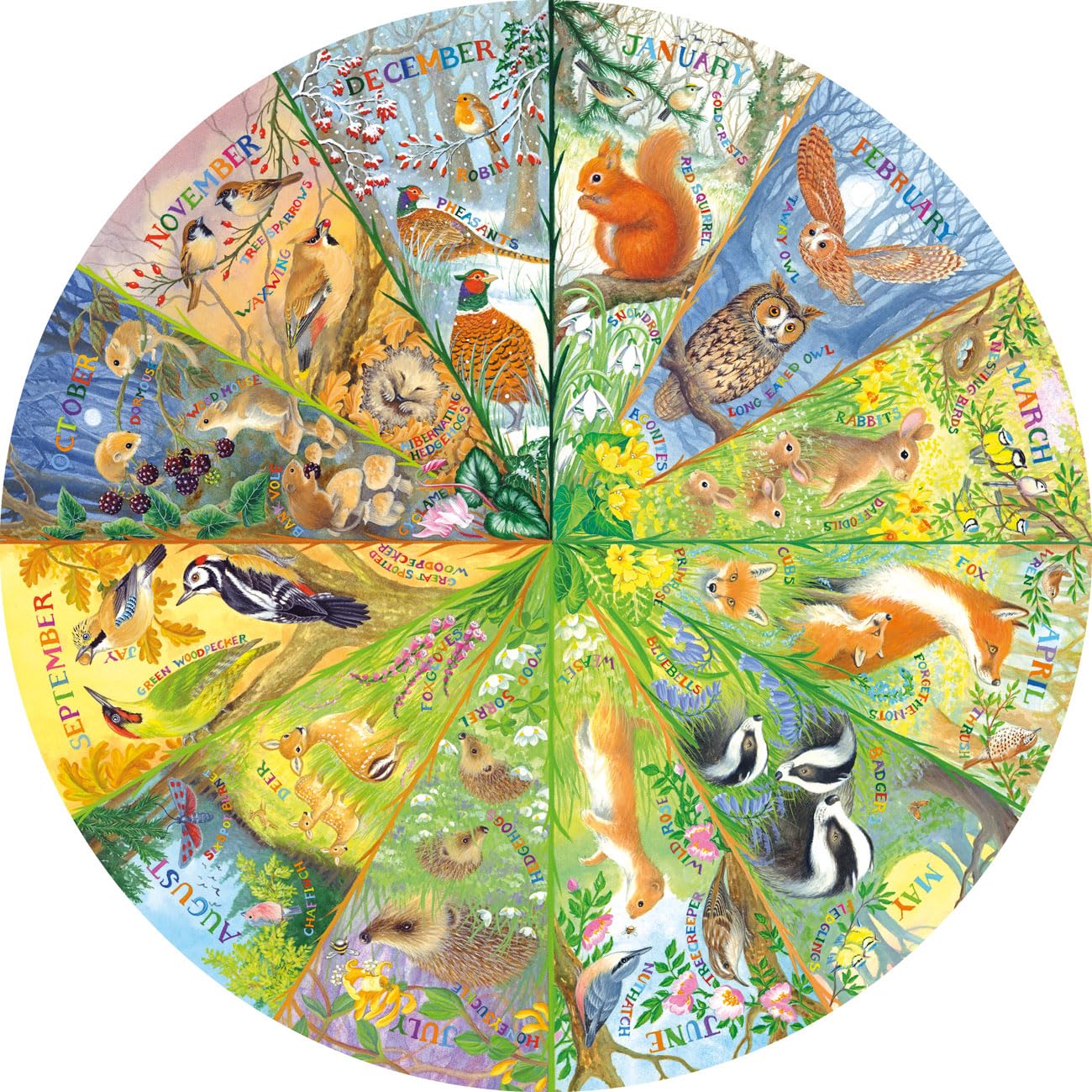 Gibsons National Trust A Year in the Forest 500 Piece Circular Jigsaw Puzzle 4