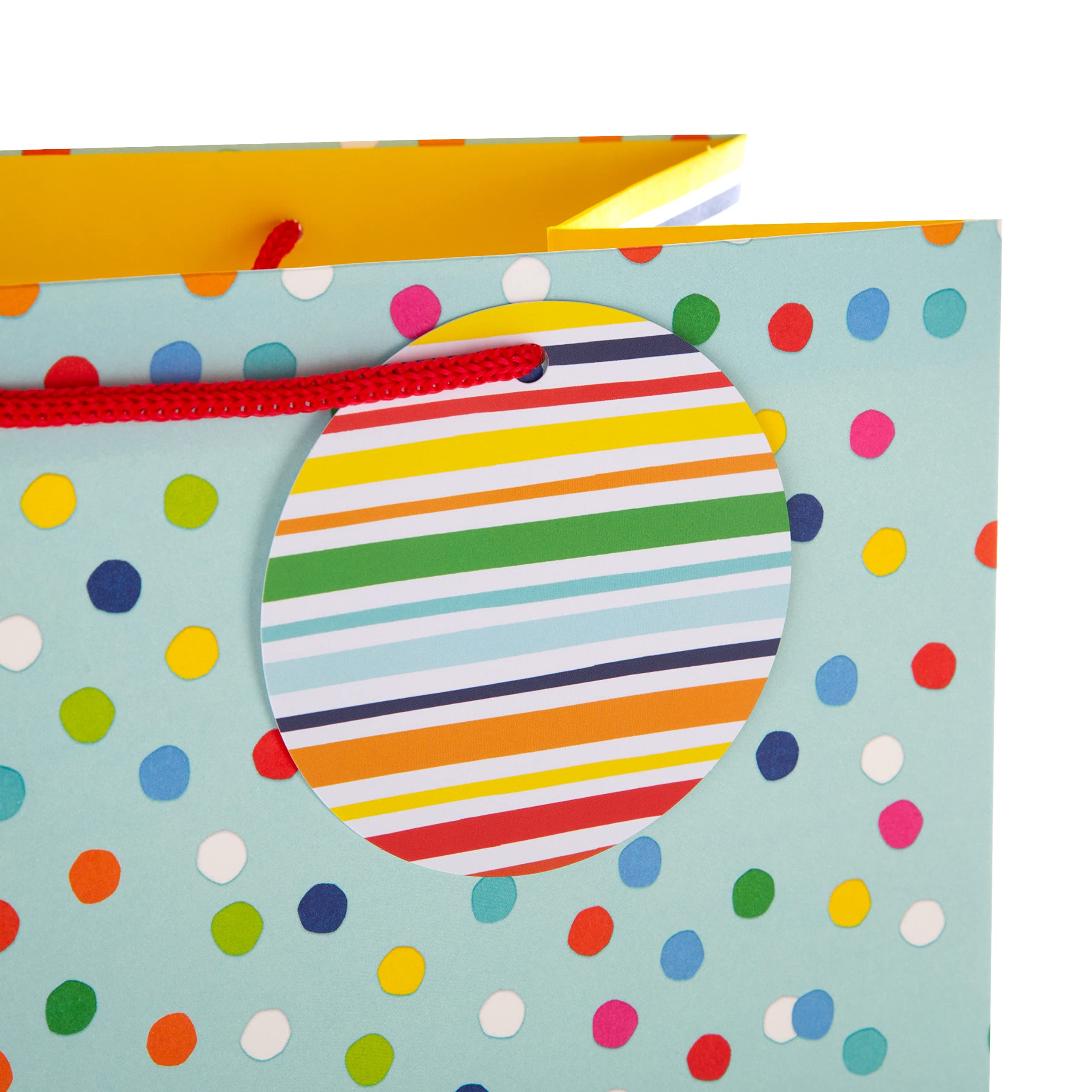 Hallmark Large Gift Bag - Spots and Stripes Design | H33cm x W26.5cm x D14.6cm | Includes Gift Tag 2