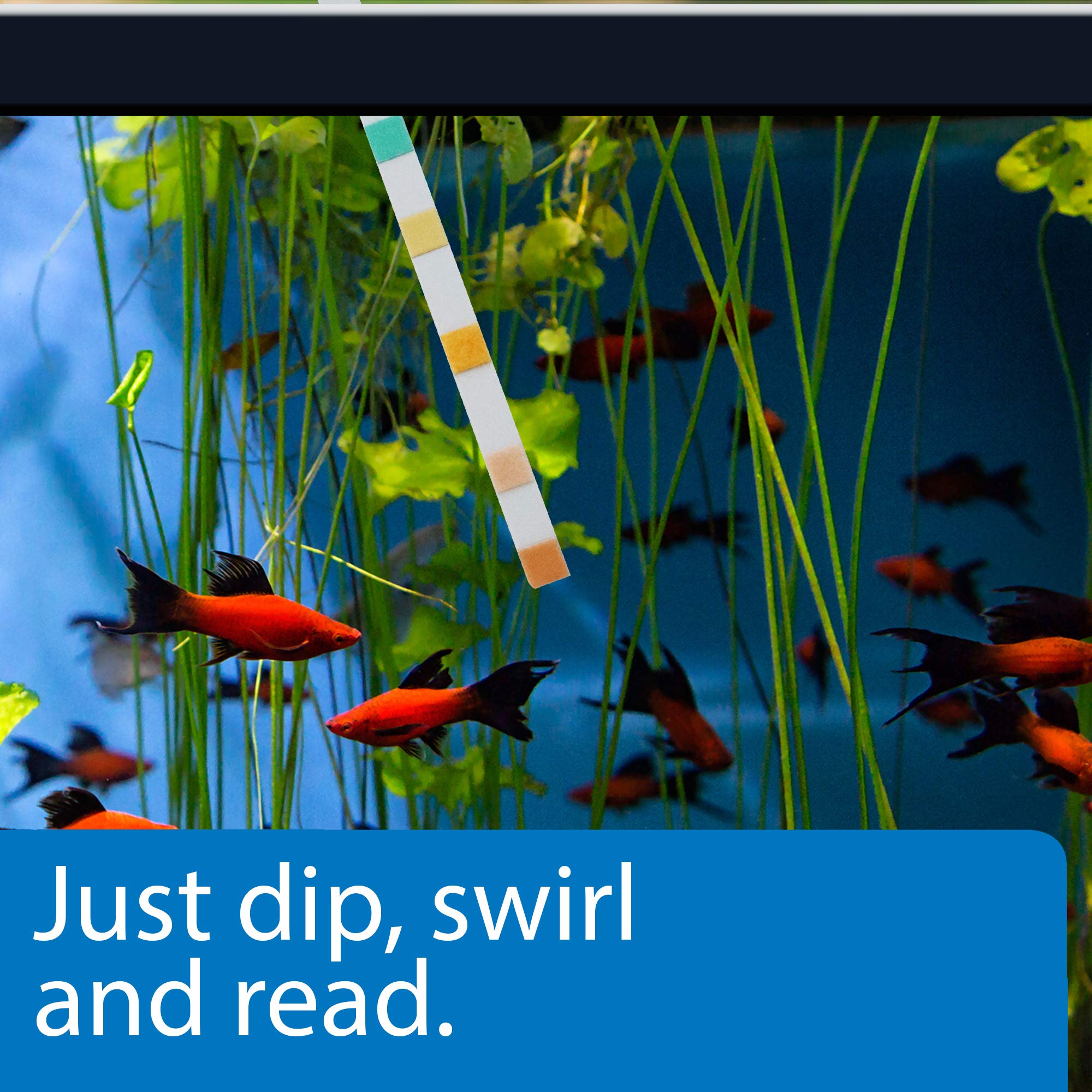 API 5-IN-1 Test Strips - Monitors pH, Nitrite, Nitrate, GH, KH for Freshwater & Saltwater Aquariums | 4 Count 3