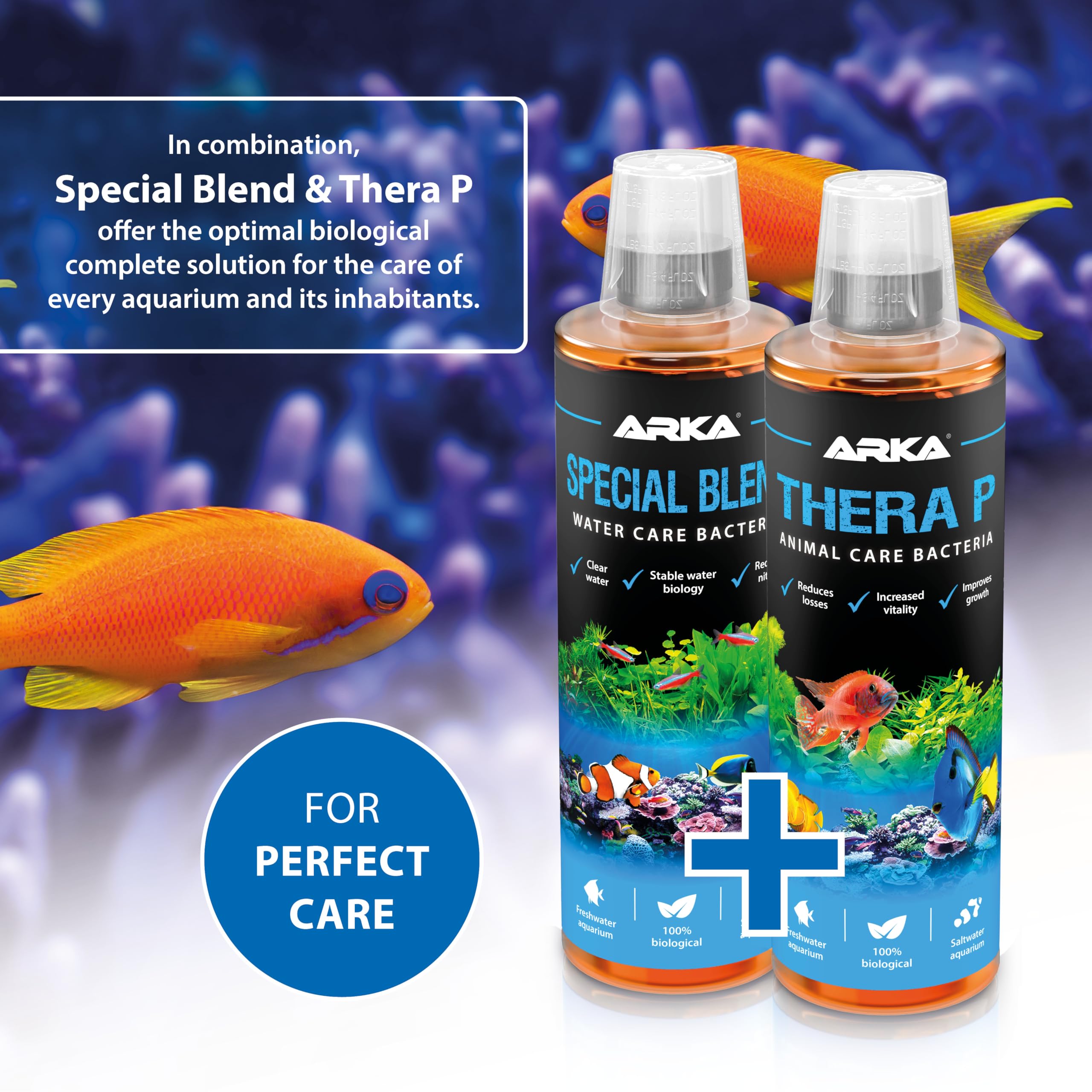 ARKA TheraP Water Treatment - 473 ml | Boosts Immune System & Reduces Stress 6