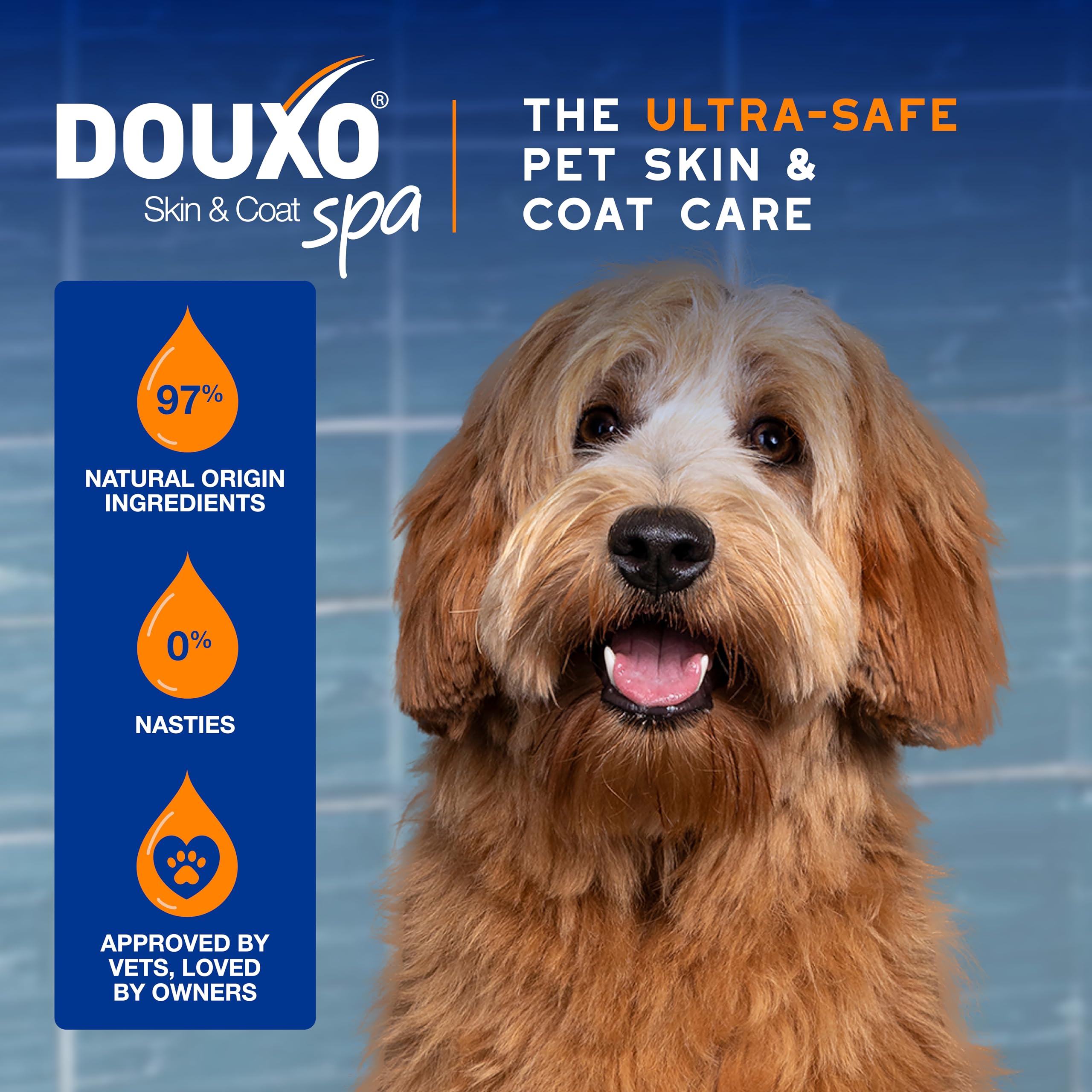 Douxo Skin & Coat SPA Detangling Spray for Dogs - Hypoallergenic Coco Vanilla Scent | 295ml 4