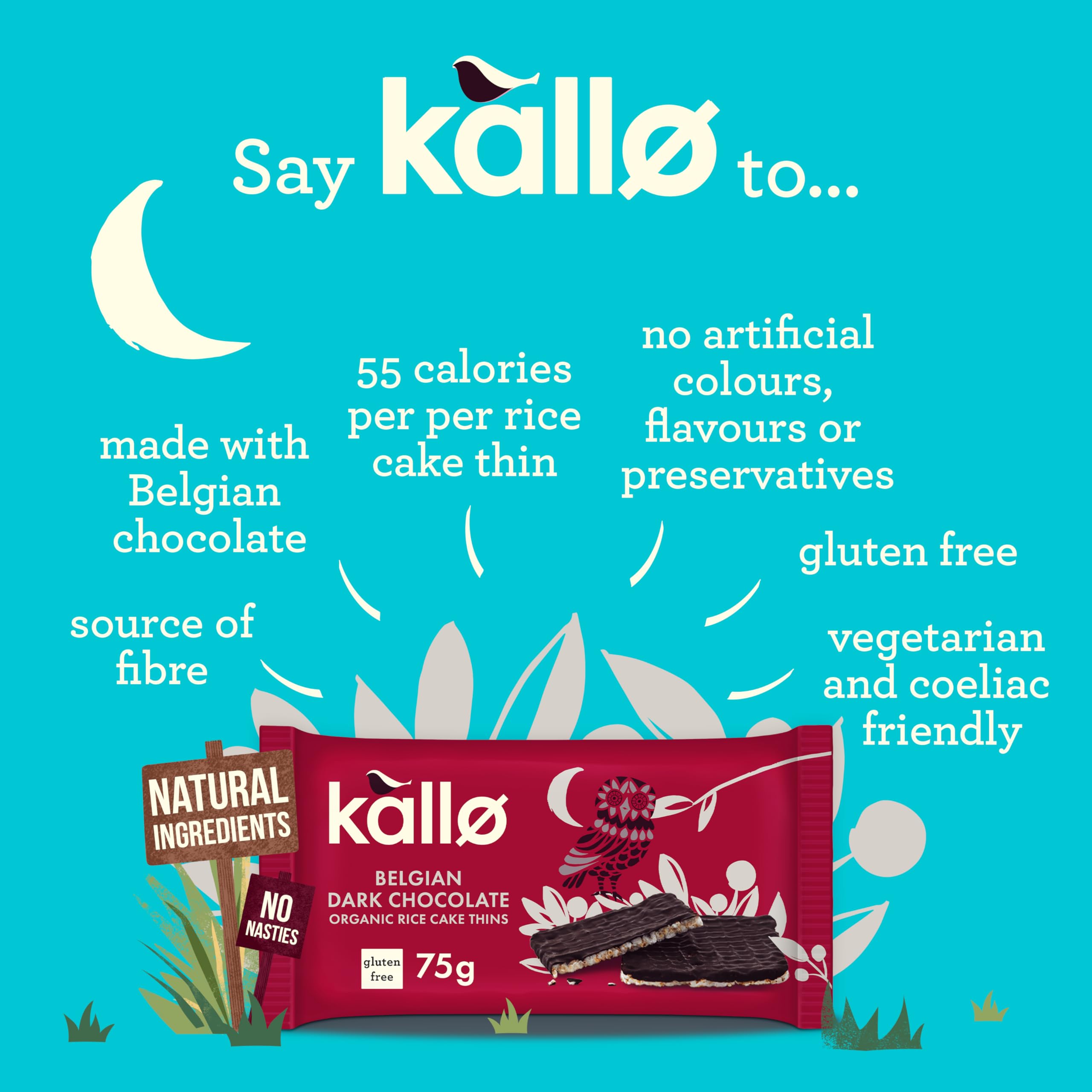 Kallo Organic Rice Cake Thins with Belgian Dark Chocolate | 75g | Gluten Free 2