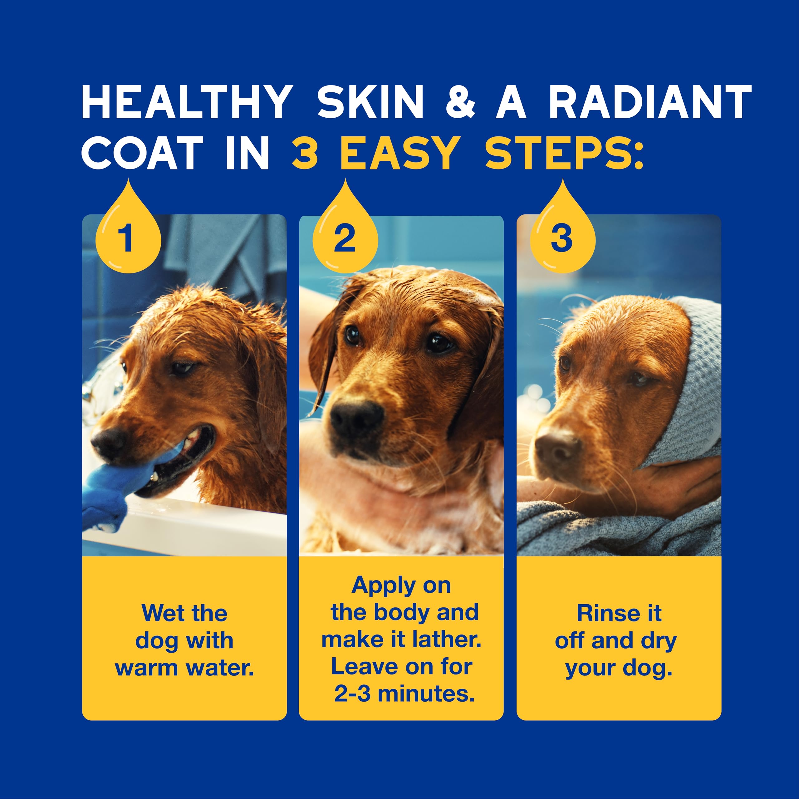 Douxo Skin & Coat SPA Oatmeal Dog Shampoo - Deep Hydration & Cleansing | 250 ml 6
