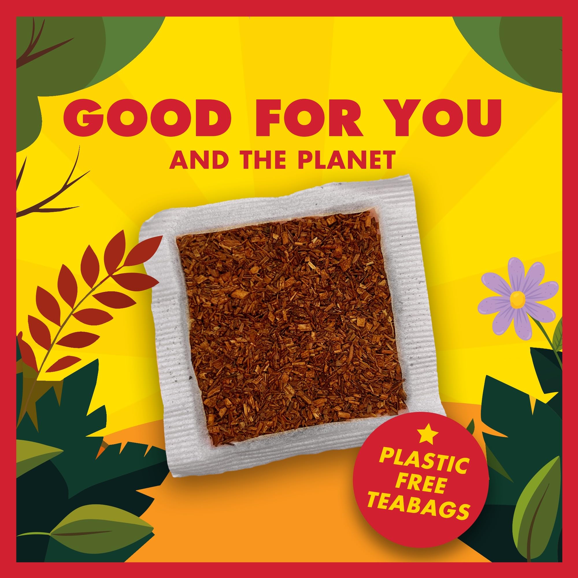 BOS Organic Rooibos Caffeine Free Tea Sachets Tin - 40 Bags, 100g | Antioxidant Support 6