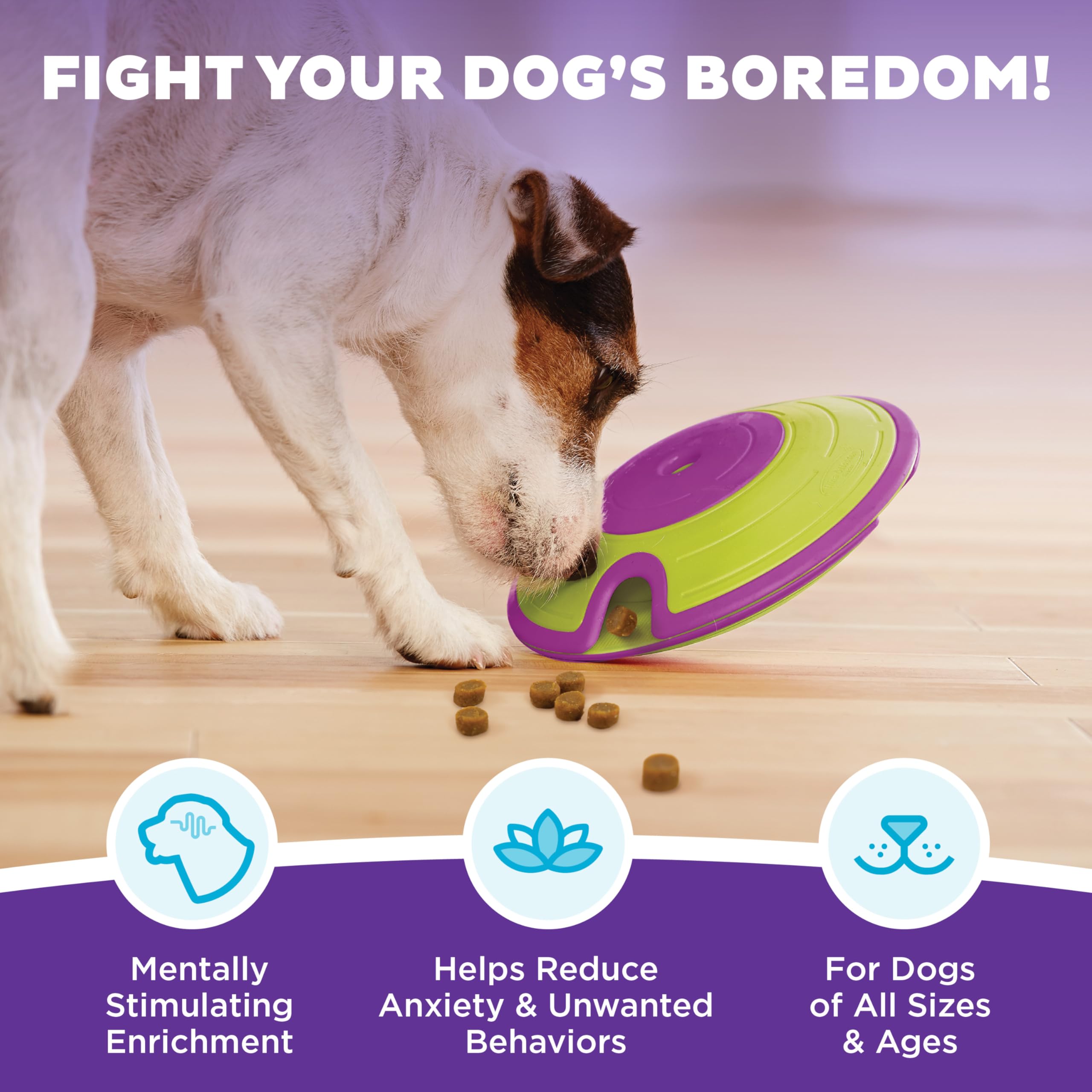 Outward Hound Nina Ottosson Treat Maze Interactive Treat Puzzle Dog Toy, Intermediate Level 2 2