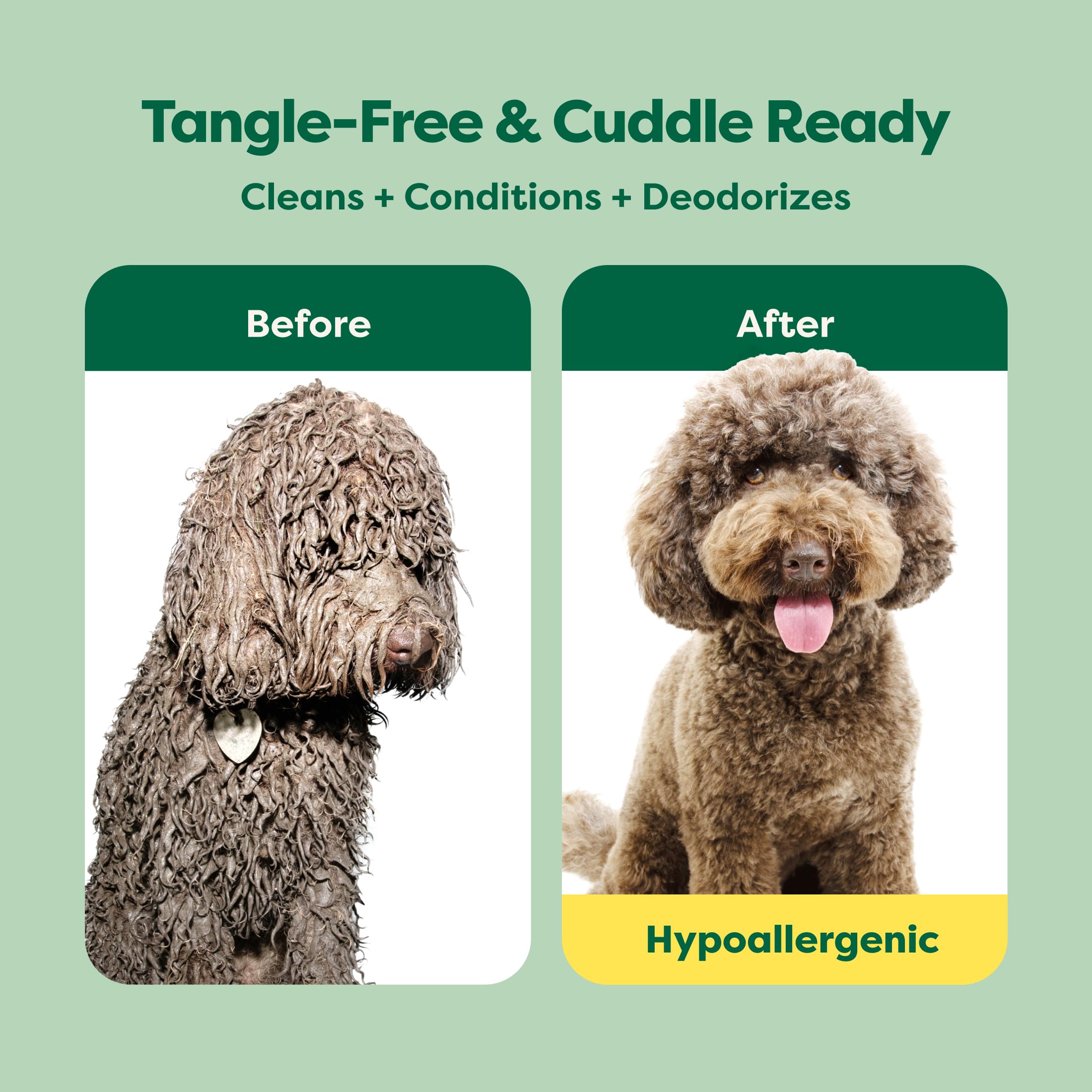 Earth Rated 3-in-1 Detangling Dog Shampoo and Conditioner with Oatmeal | White Tea & Basil Scent | 473ml 2
