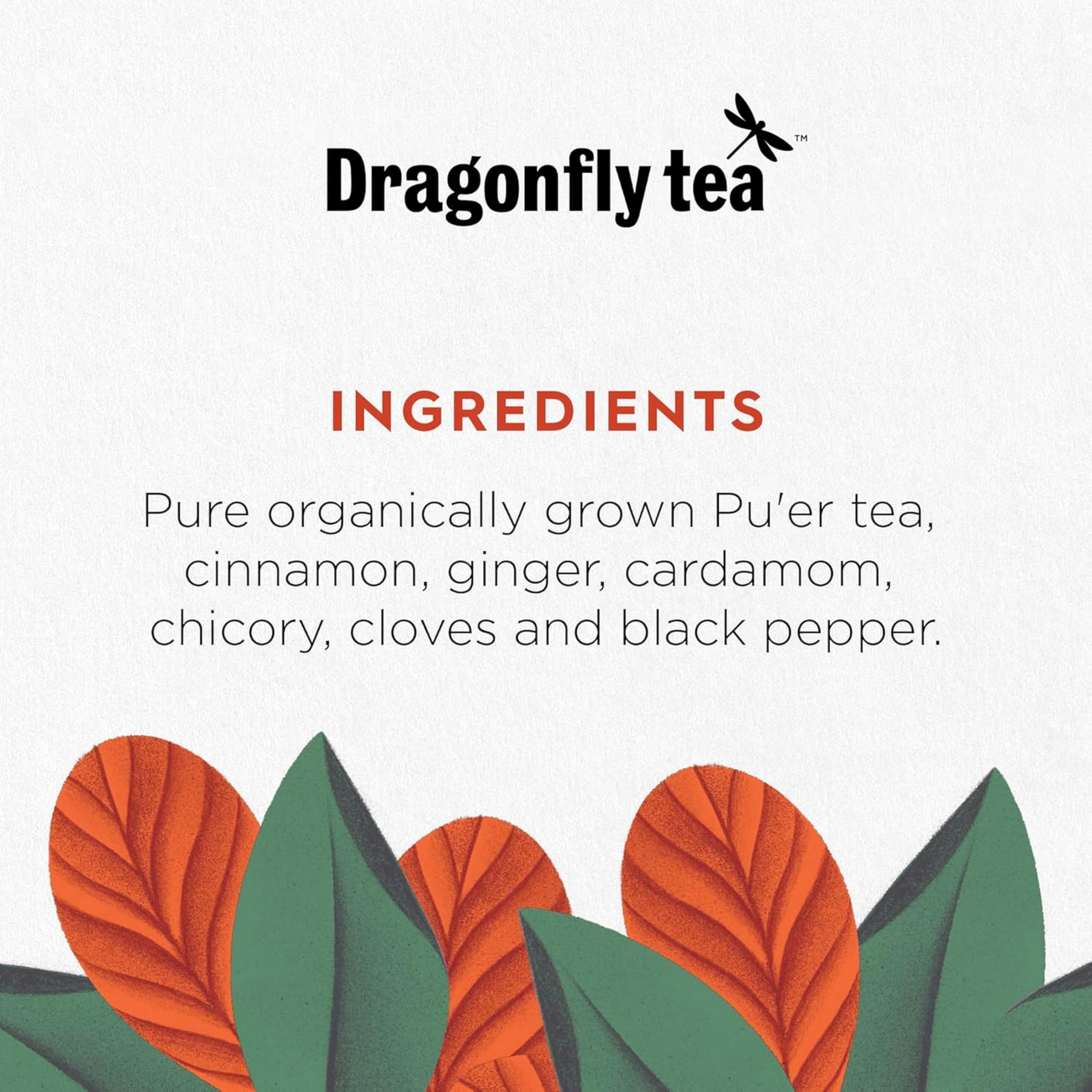 DRAGONFLY Digestive Chai Pu'er Tea - Organic Ferment | 80 Teabags (4x20)