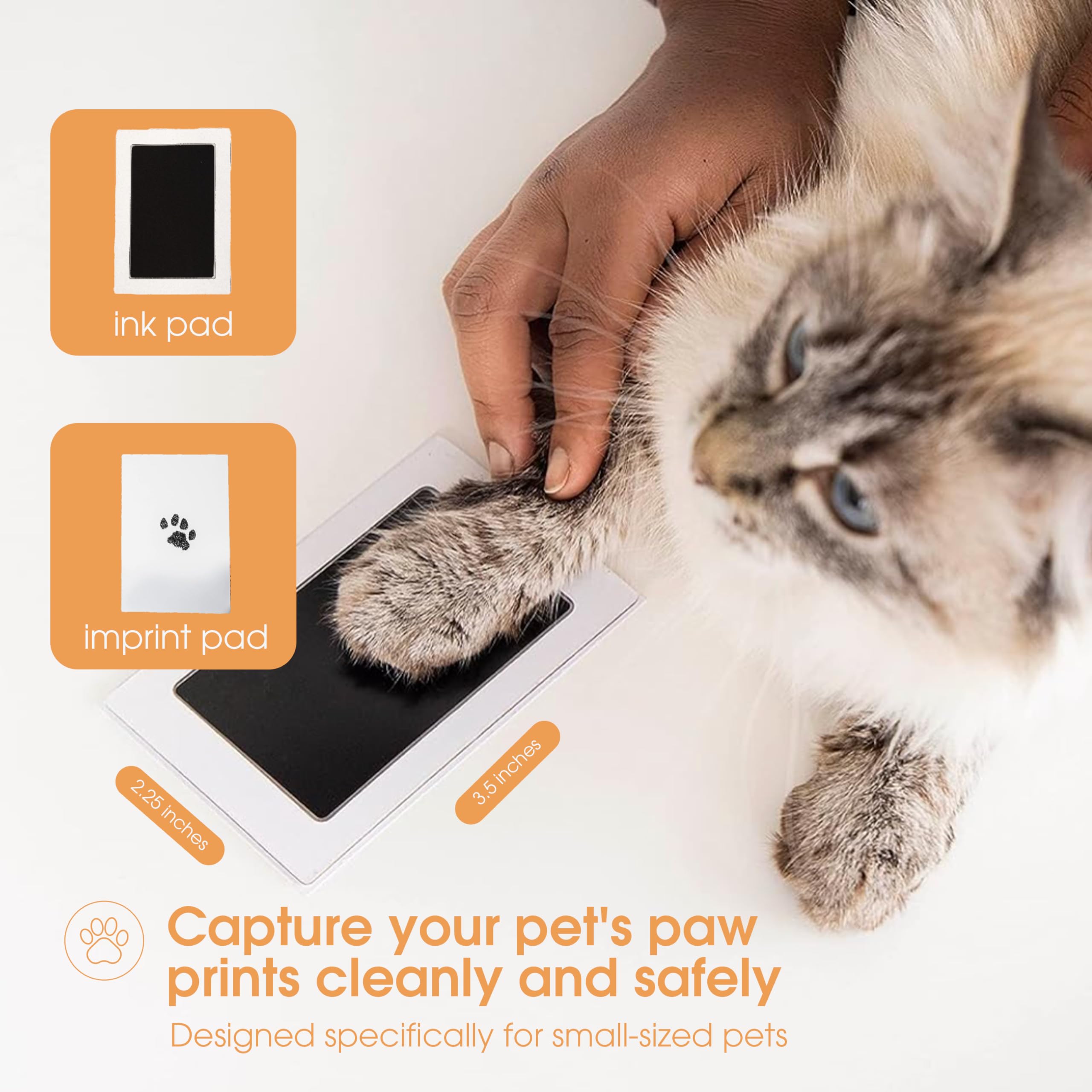 Pearhead Paw Print Clean-Touch Ink Pad Kit - Mess Free, 2-Pack for Dogs & Cats | Non-Toxic Black Ink 2