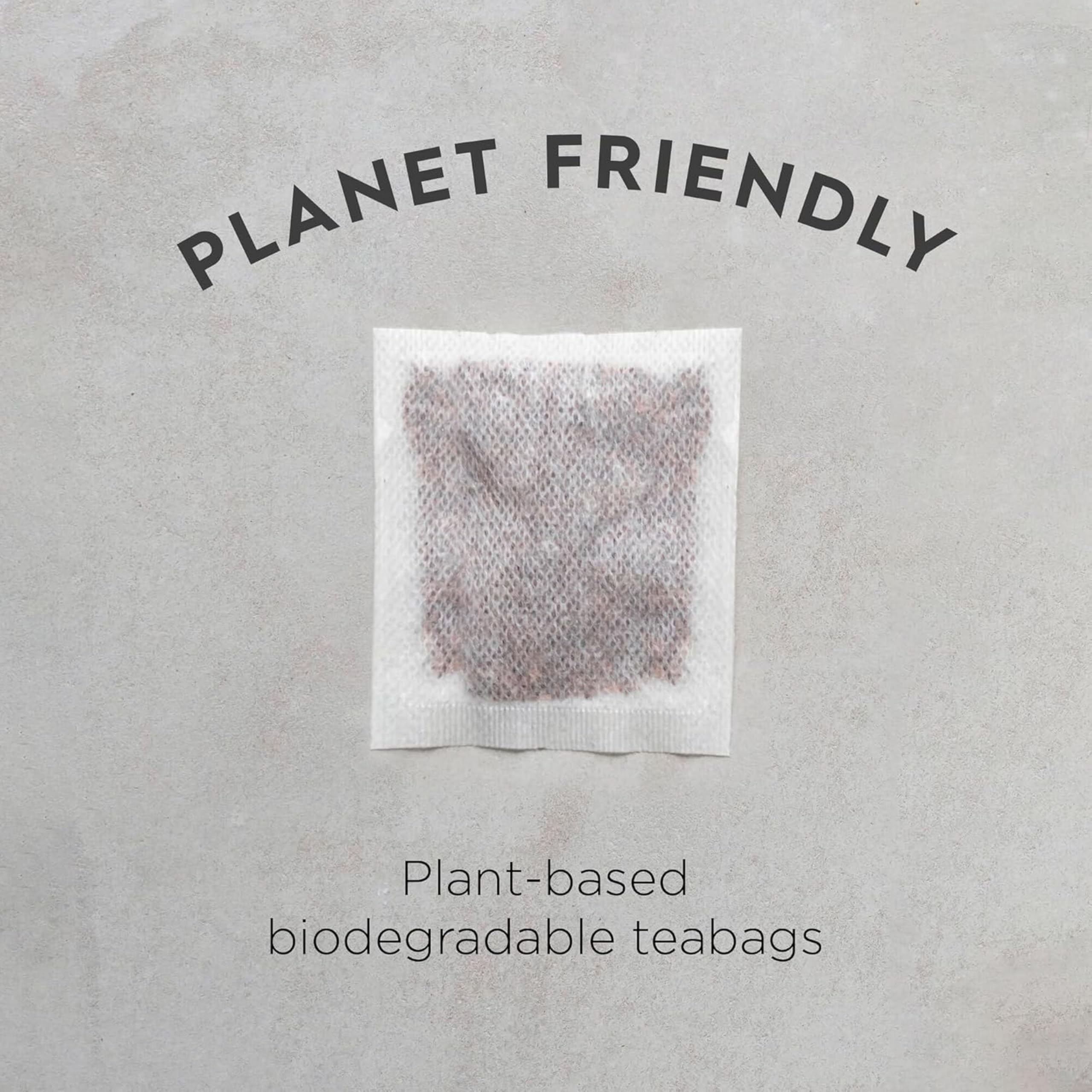 DRAGONFLY Organic Rooibos Tea Selection Box - 160 Teabags (4 Varieties) | Caffeine Free | Compostable Bags 6