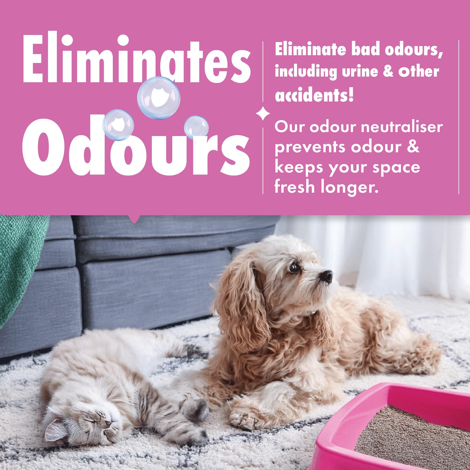 Dirtbusters Anti-Bac Spot Cleaning Solution (1L) 8