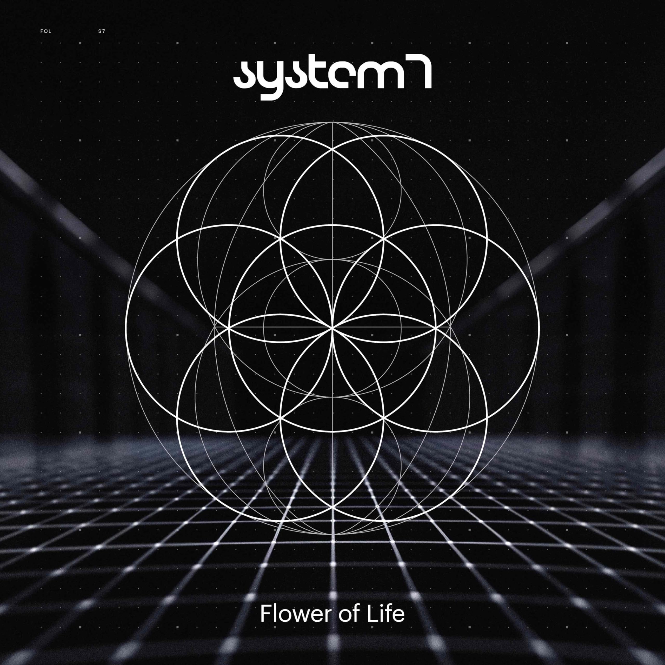 FLOWER OF LIFE 1