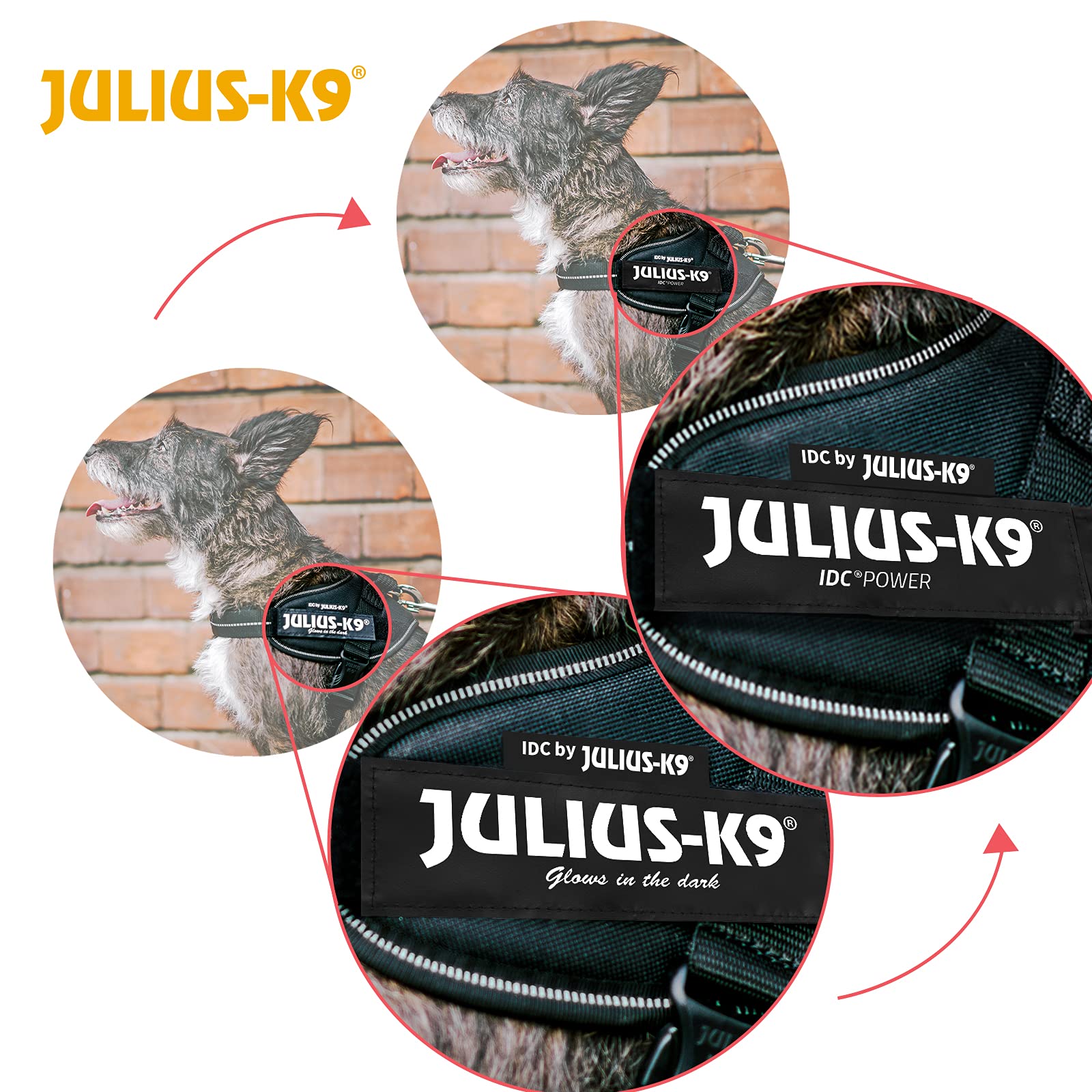 Julius-K9 IDC Powerharness Vest Harness - Anthracite | Chest 49-67 cm | Dog Weight 7-15 kg 4