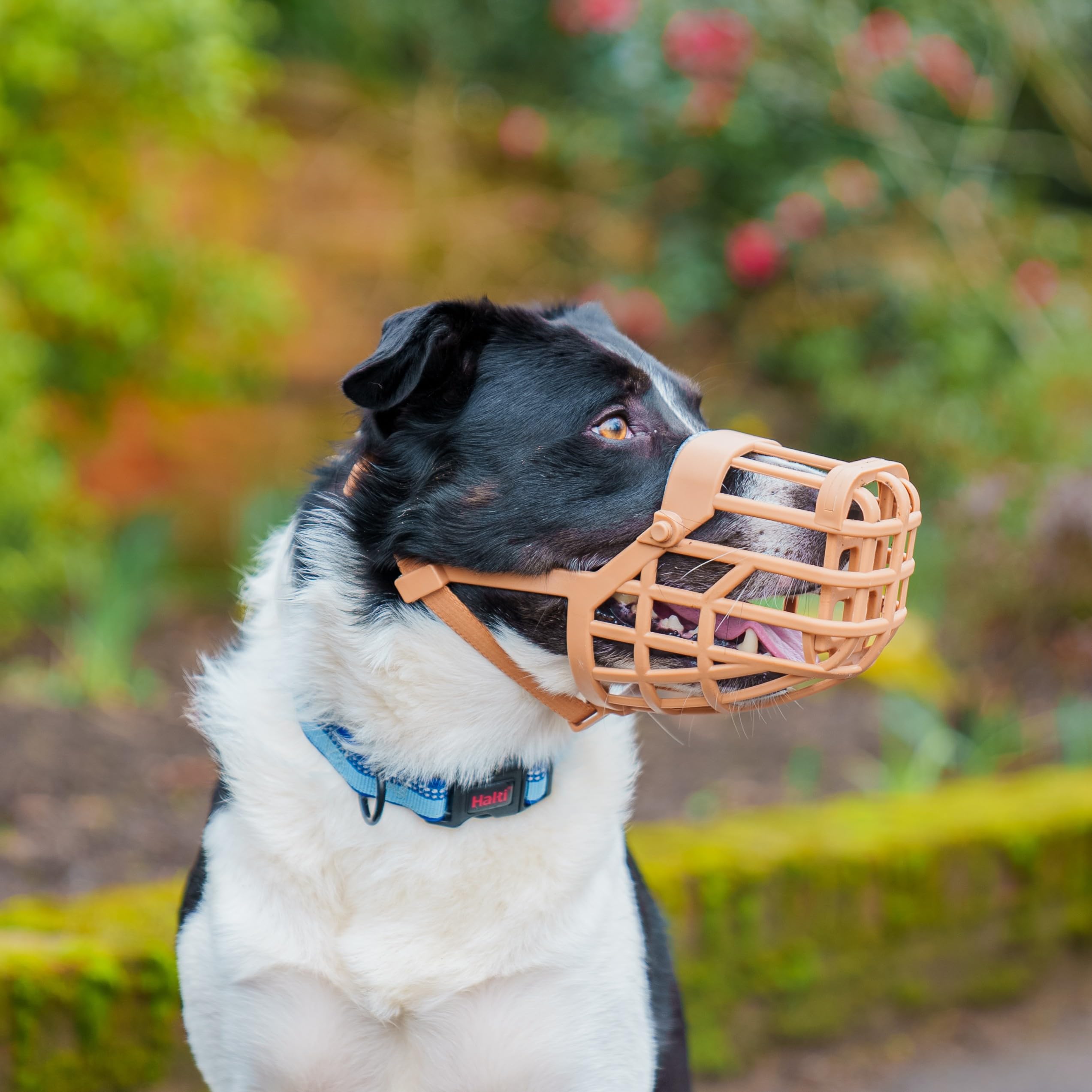 Baskerville Classic Basket Muzzle - Size 3 Brown | Prevents Biting & Scavenging | Dog Muzzle 2
