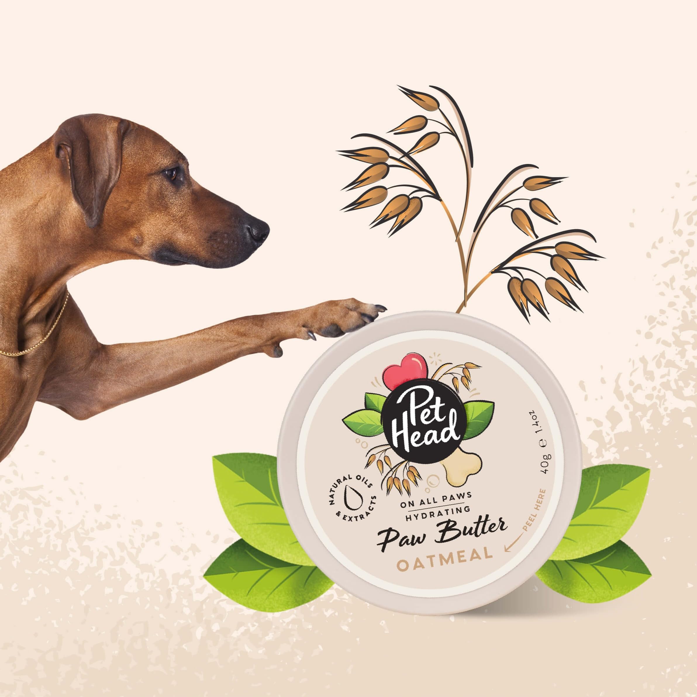 Pet Head On All Paws Oatmeal Paw Butter - Moisturizes & Protects Paws/Noses | All Life Stages | 40g Balm 3