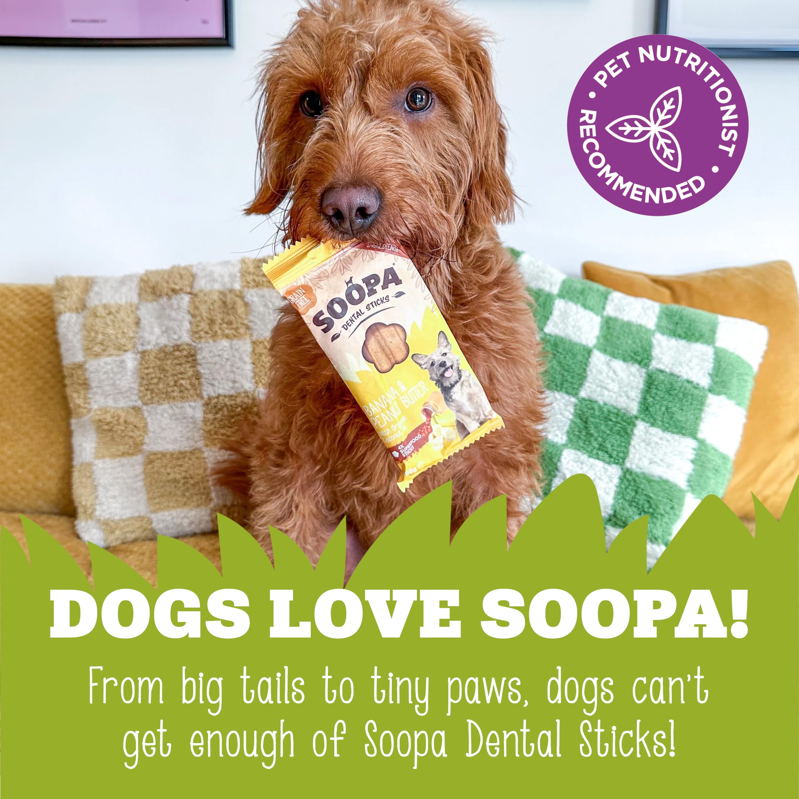 Soopa Senior Banana Pumpkin and Flaxseed Dental Sticks - 100g | Low Fat | Vegan 6