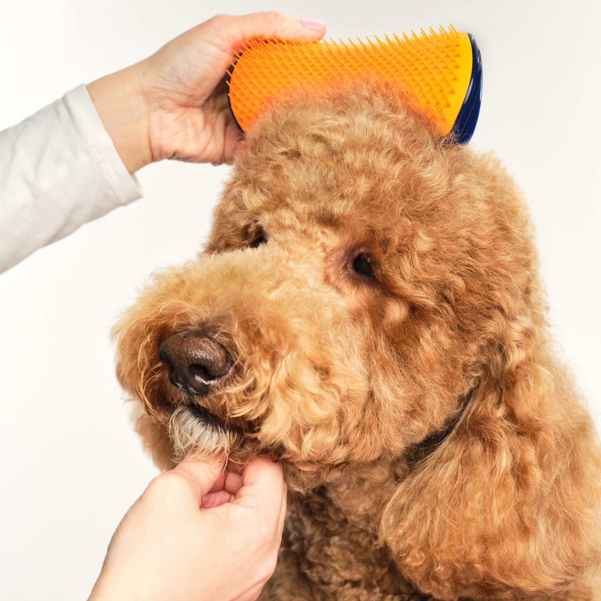 Pet Teezer Detangling Dog Grooming Brush - Navy & Orange, Size L | Lightweight Nylon Plastic 3