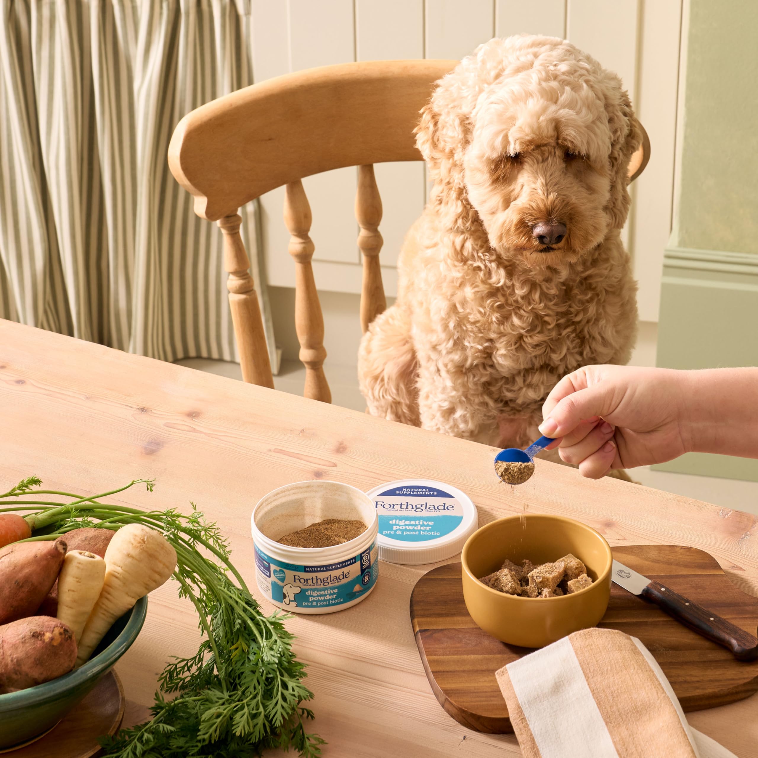 Forthglade Digestive Powder for Dogs - Pre & Probiotic Gut Support | 200g 3