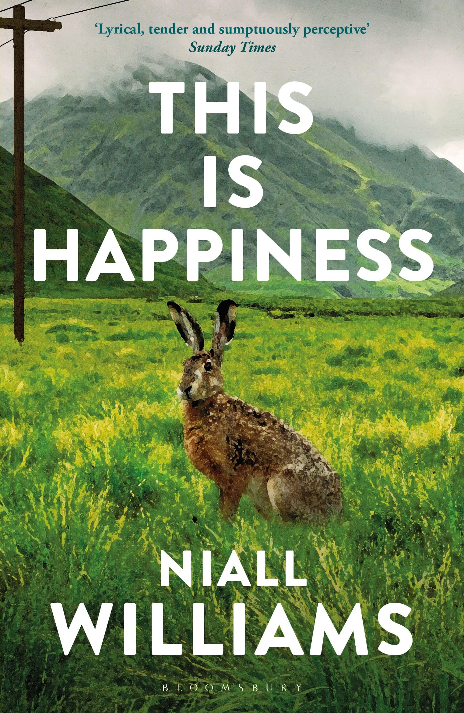 Bloomsbury This Is Happiness by Niall Williams | Contemporary Fiction Paperback