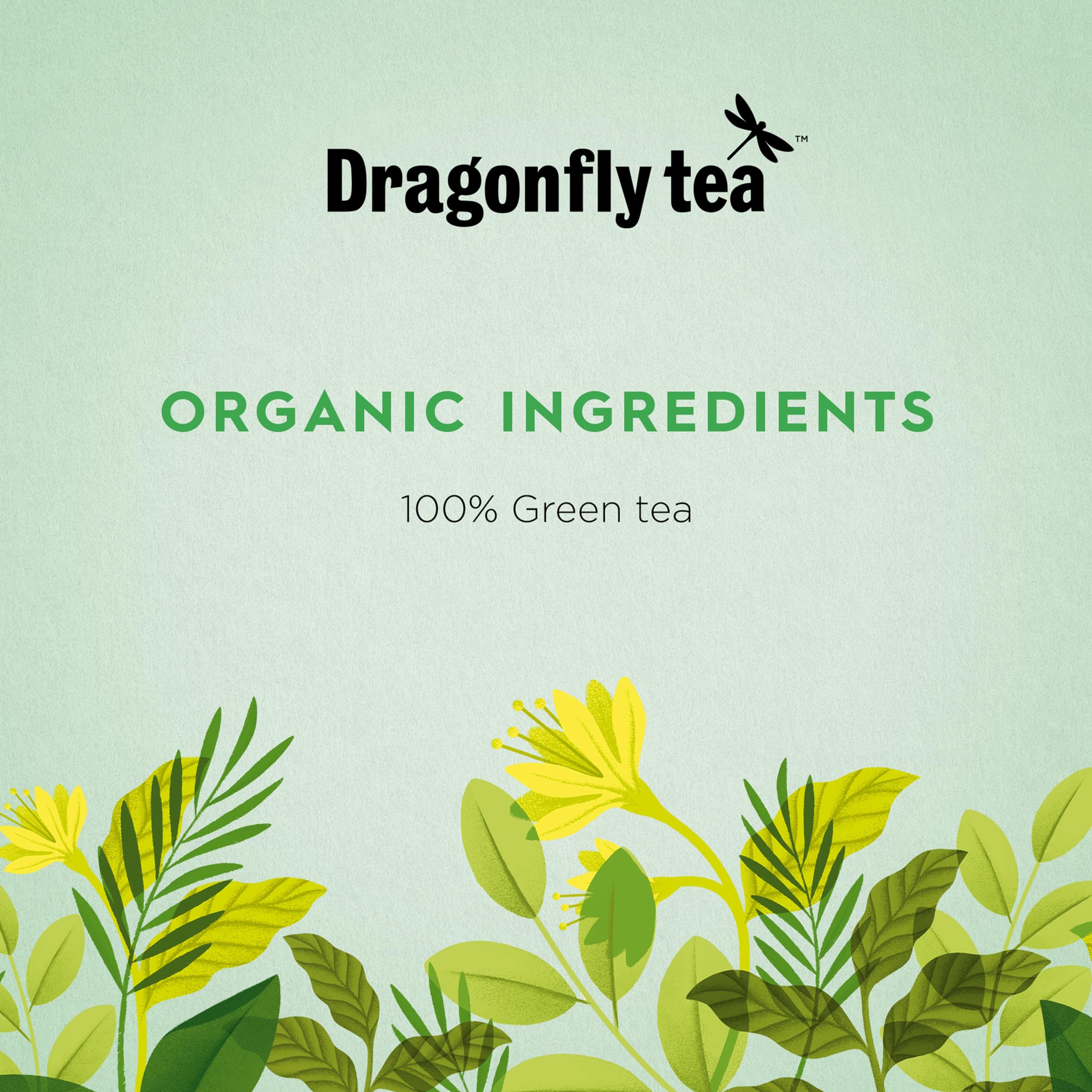 DRAGONFLY Pure Green Mountain Organic Green Tea Bags - 80 Count (4 x 20 Bags) | Antioxidant Rich