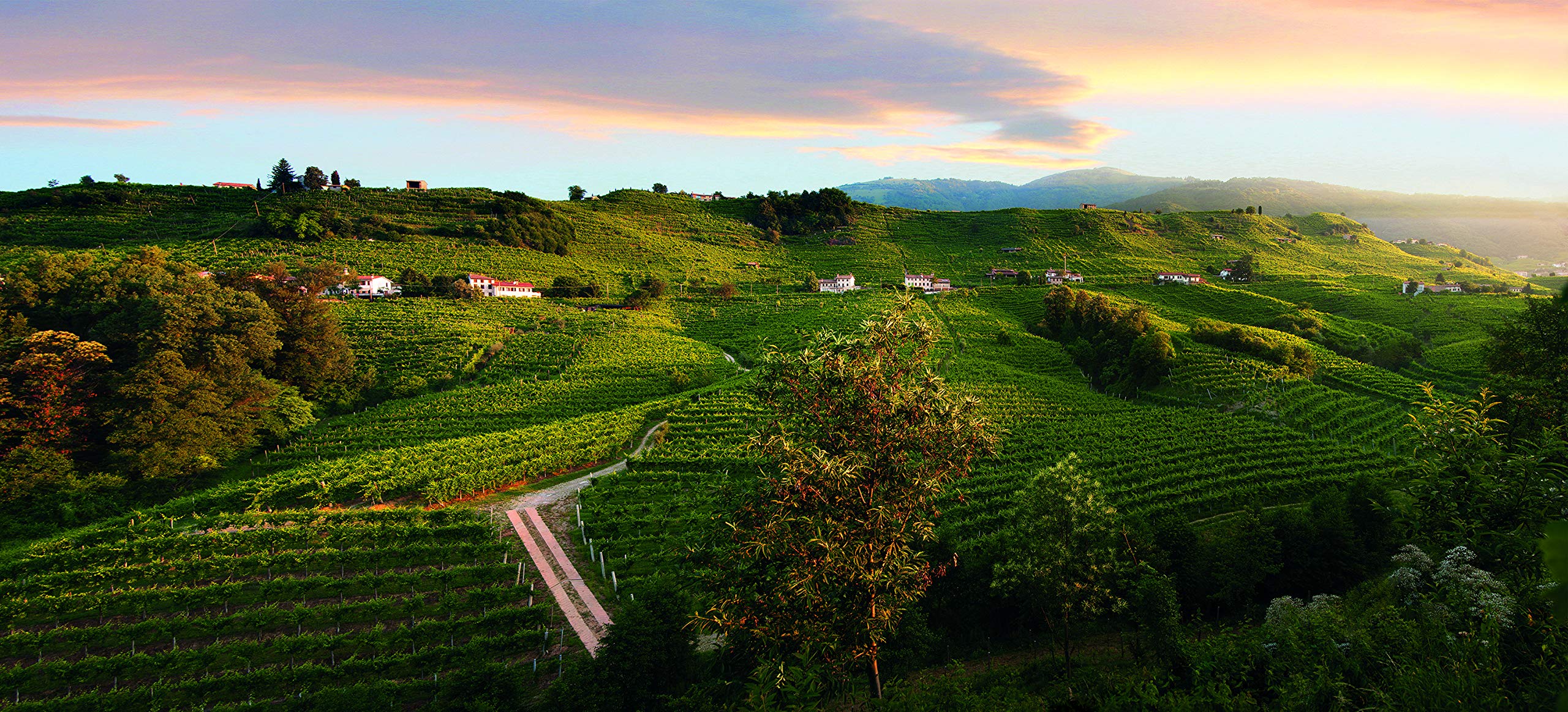 La Gioiosa Prosecco Valdobbiadene Superiore Millesimato DOCG (750 ml) 8