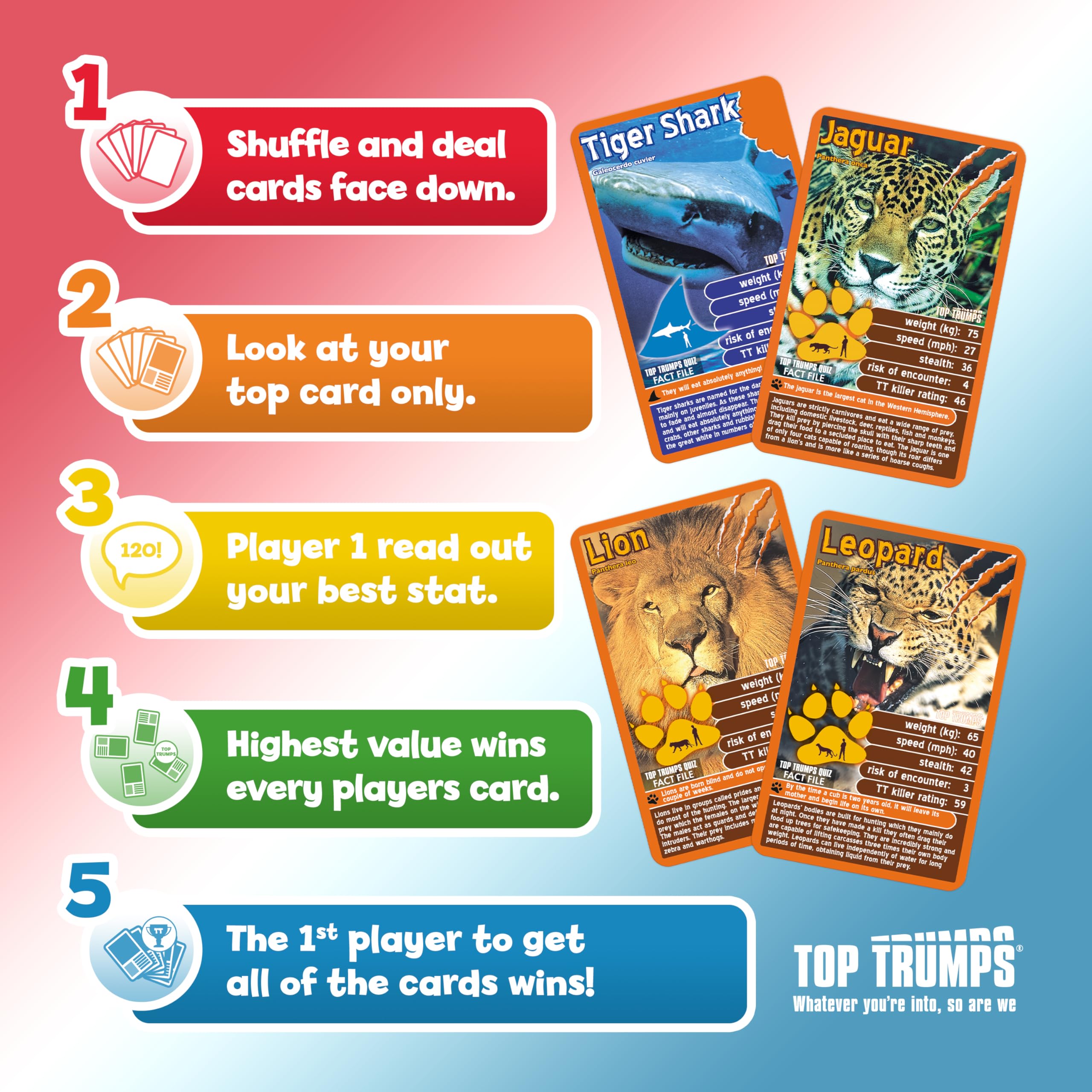 Top Trumps Birds Age 6+ of the World Classics Card Game, Discover some interesting facts in this educational packed game including the blue jay’s wingspan, 2 plus players makes a great gift for ages 6 plus 9