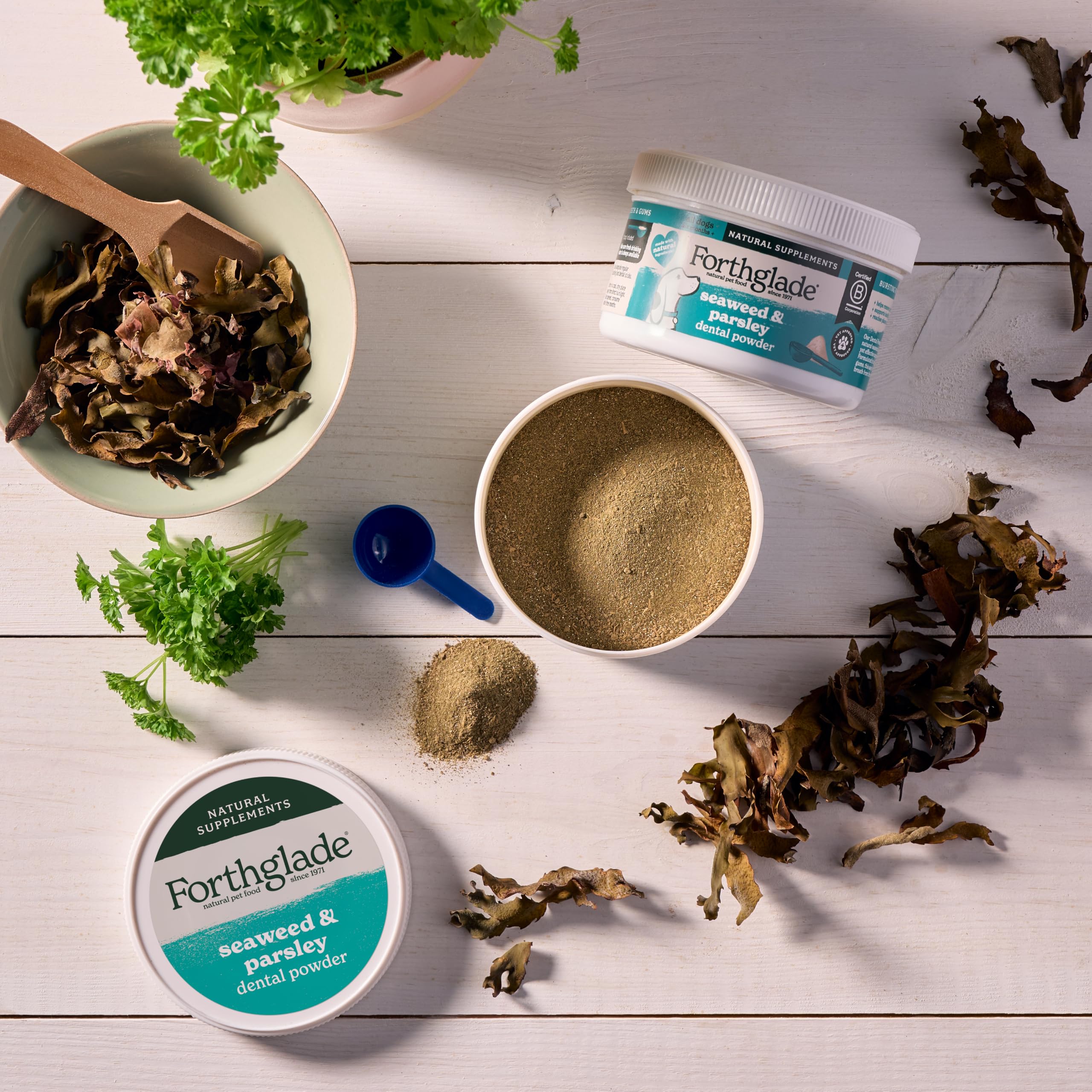 Forthglade Digestive Powder for Dogs - Pre & Probiotic Gut Support | 200g 5