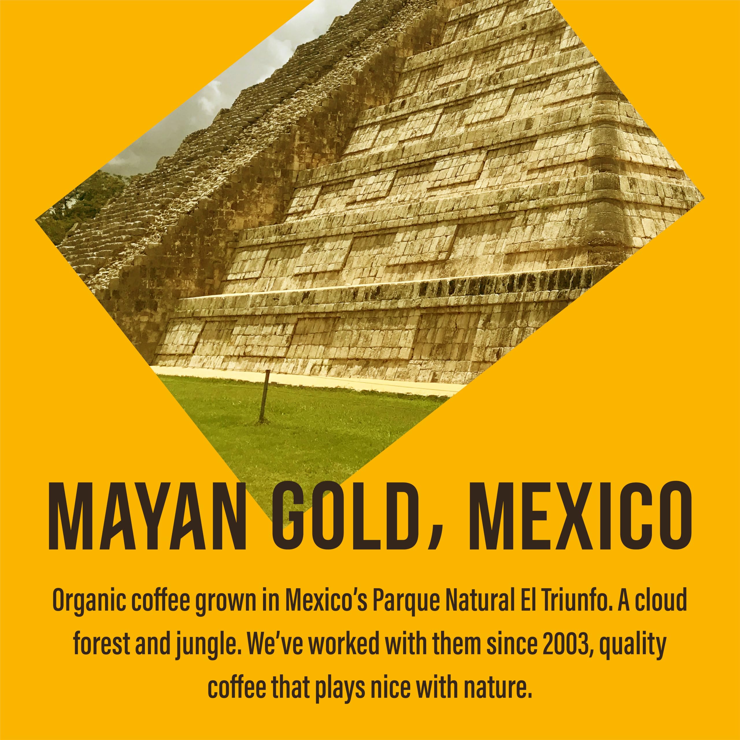 Café Direct Mayan Gold Organic Fairtrade Ground Arabica Coffee, 227g (Pack of 6) 3