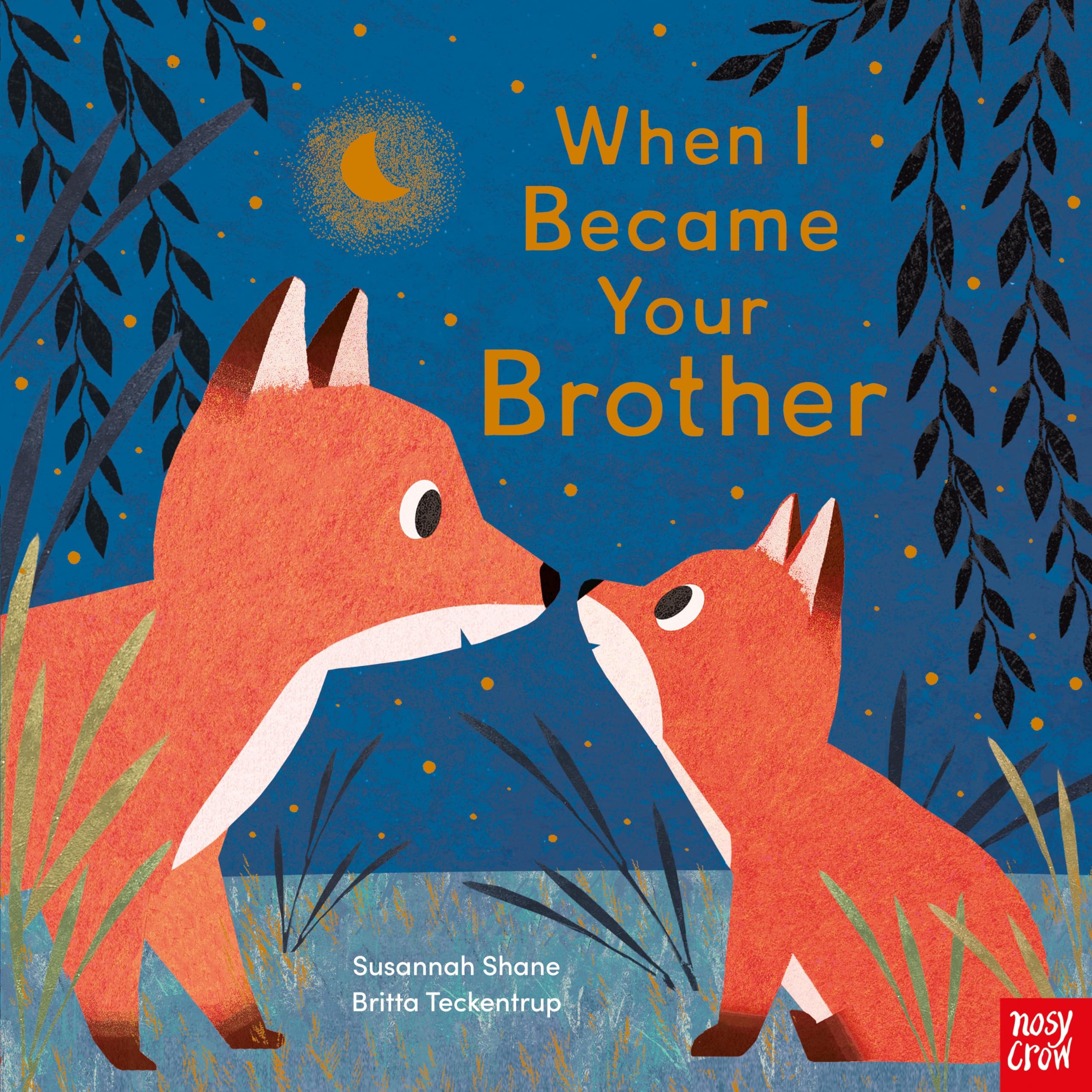 Nosy Crow When I Became Your Brother Picture Book | Ages 2-5 | Paperback 1