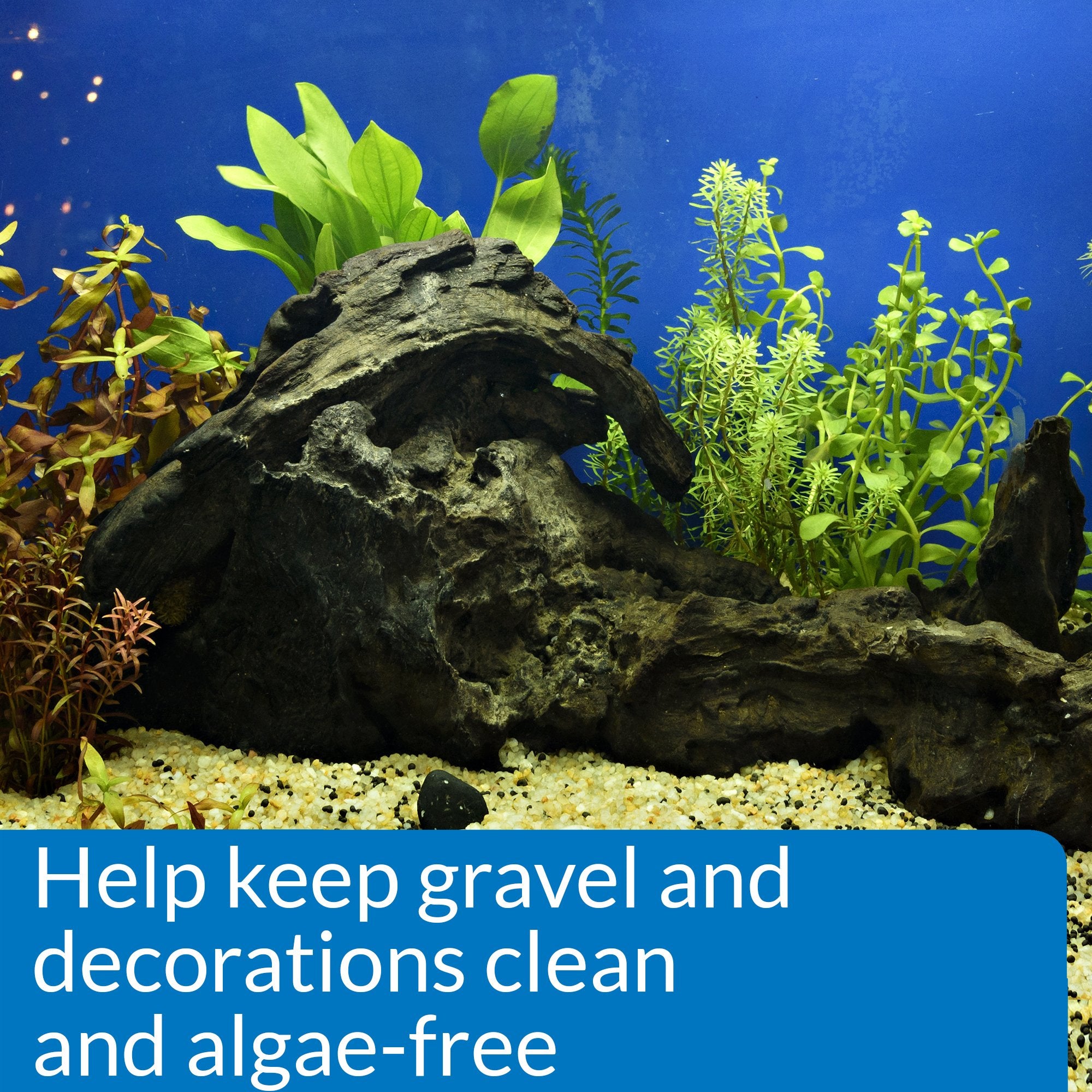API STRESS ZYME Aquarium Cleaning Solution - Consumes Sludge | 473 ml Liquid 4