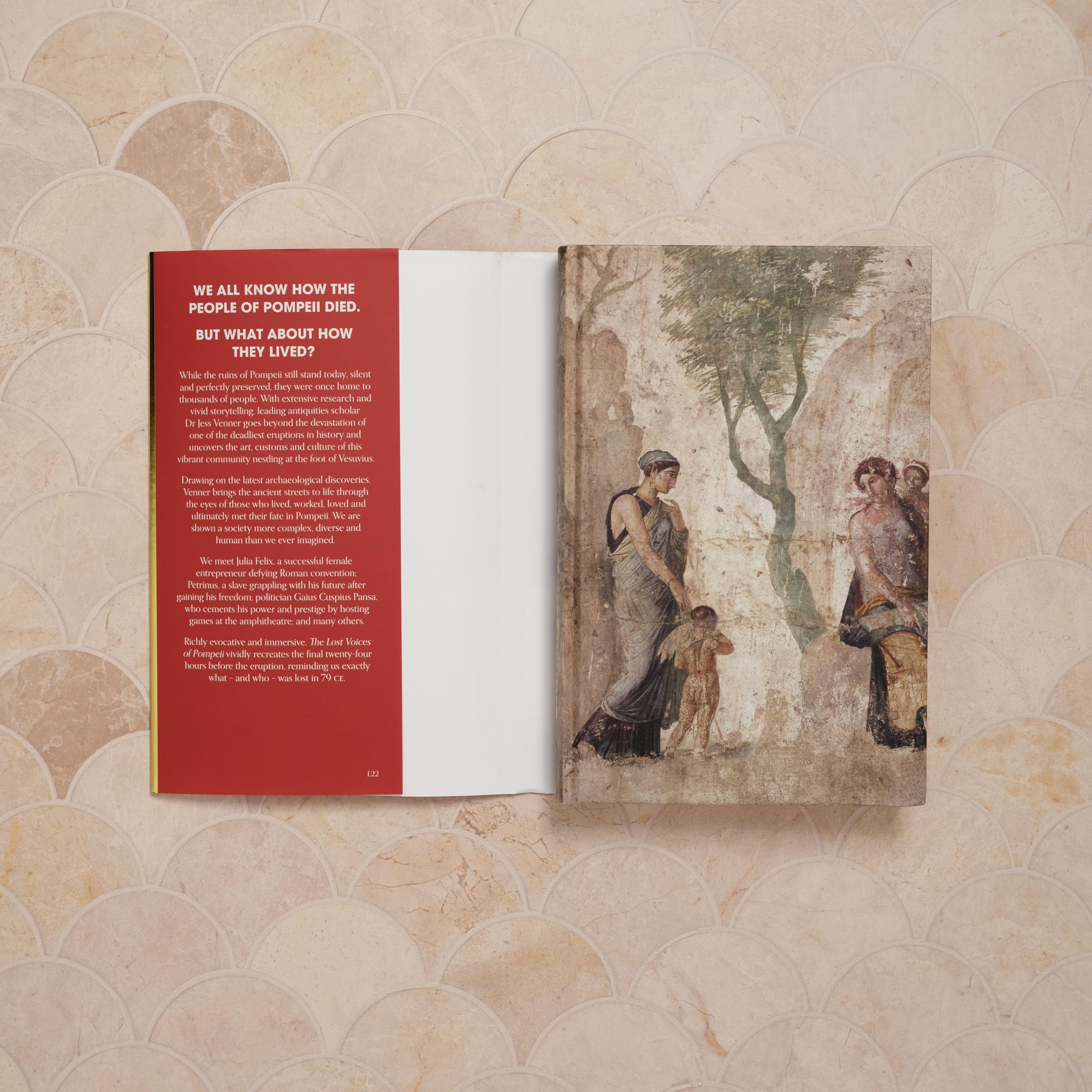 Mudlark The Lost Voices of Pompeii - Historical Biography BCE-500 AD | Hardcover 2
