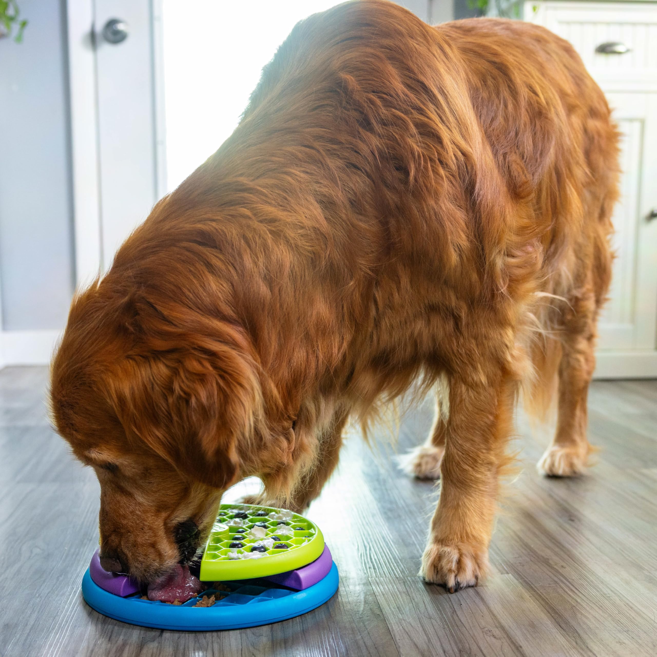 Outward Hound Nina Ottosson Lickin' Layers Interactive Dog Puzzle Game - Level 2 | Medium Size 8
