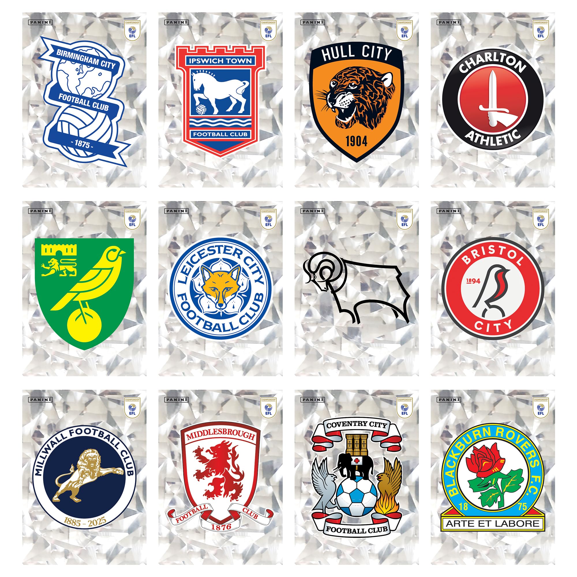 Panini EFL 2026 Sticker Collection - Pocket Tin | 788 Stickers to Collect 5