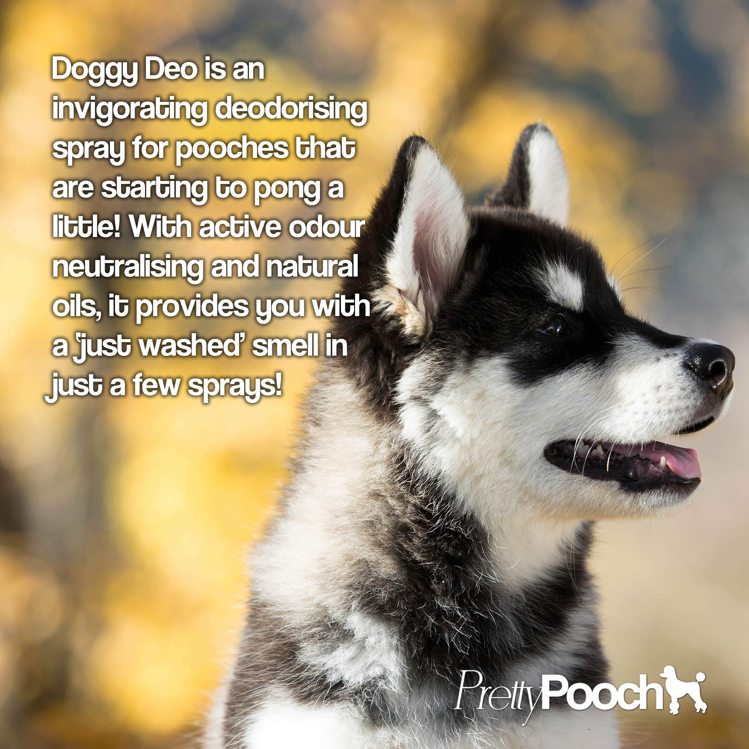 Pretty Pooch Dog Deodoriser Spray - Baby Powder Fragrance | 250ml 3