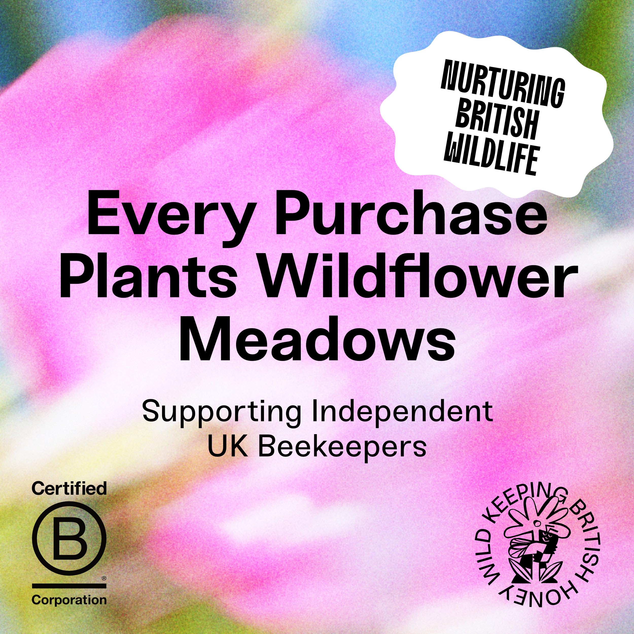 Black Bee Hot Honey with Habanero Chilli - British Wildflower Chilli Honey 11