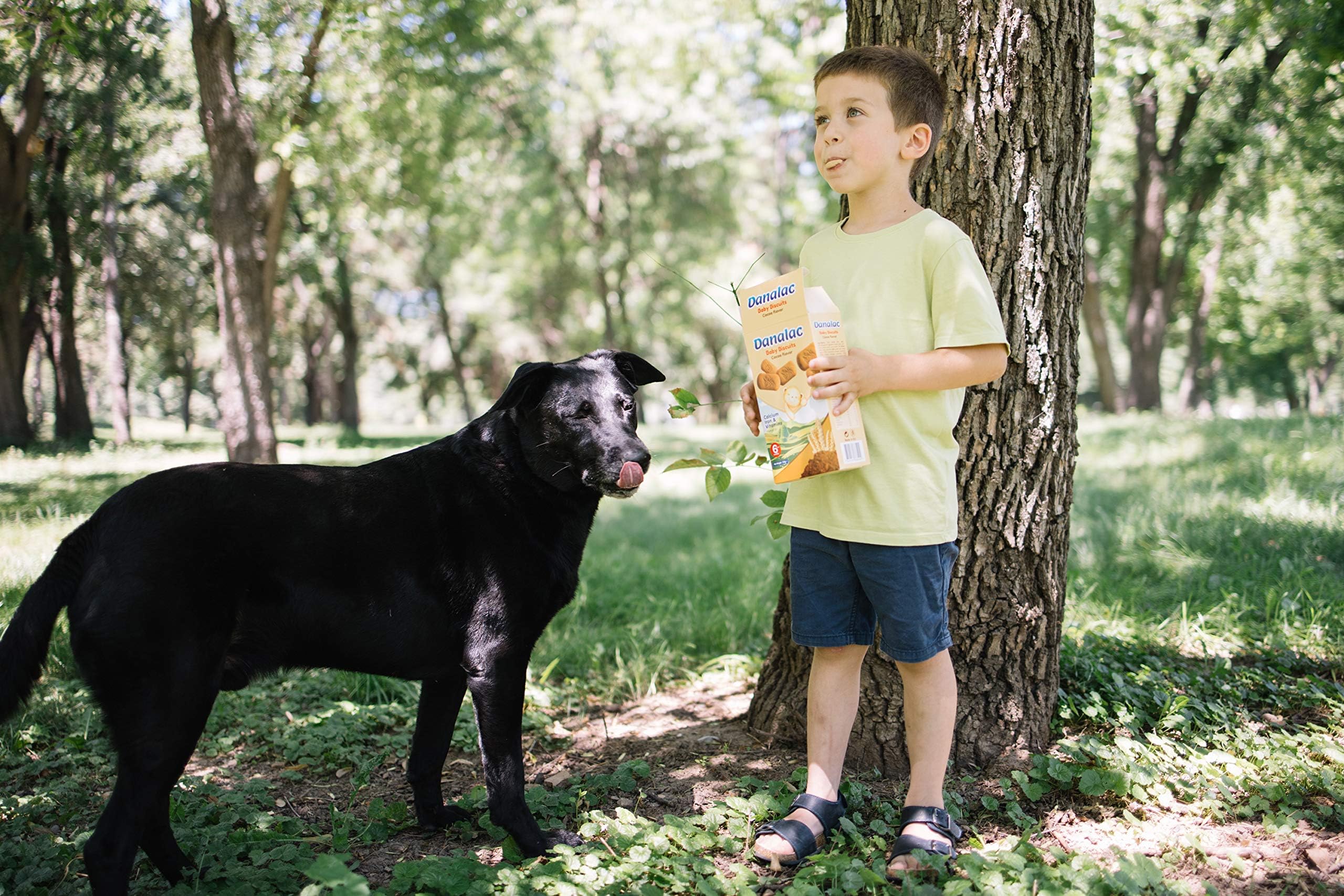 Danalac Cocoa Baby Biscuits 120g - Finger Food Snack for Toddlers 6+ Months 12