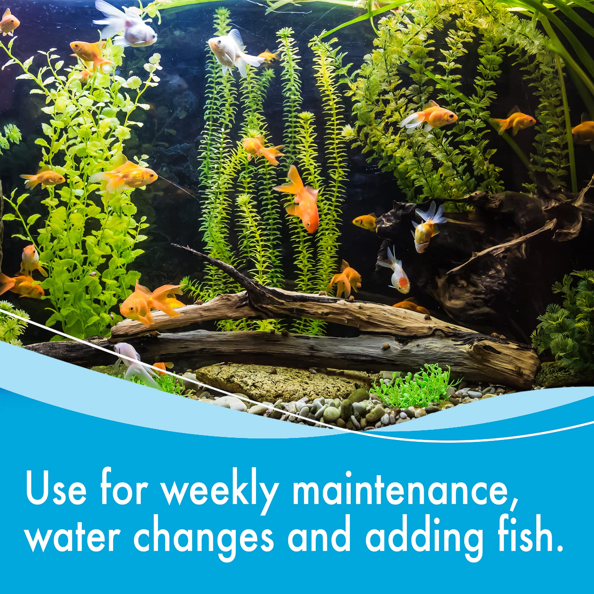 AQUARIAN Weekly Water Cleaner for Aquariums - Liquid Treatment, 473 ml (Pack of 1)