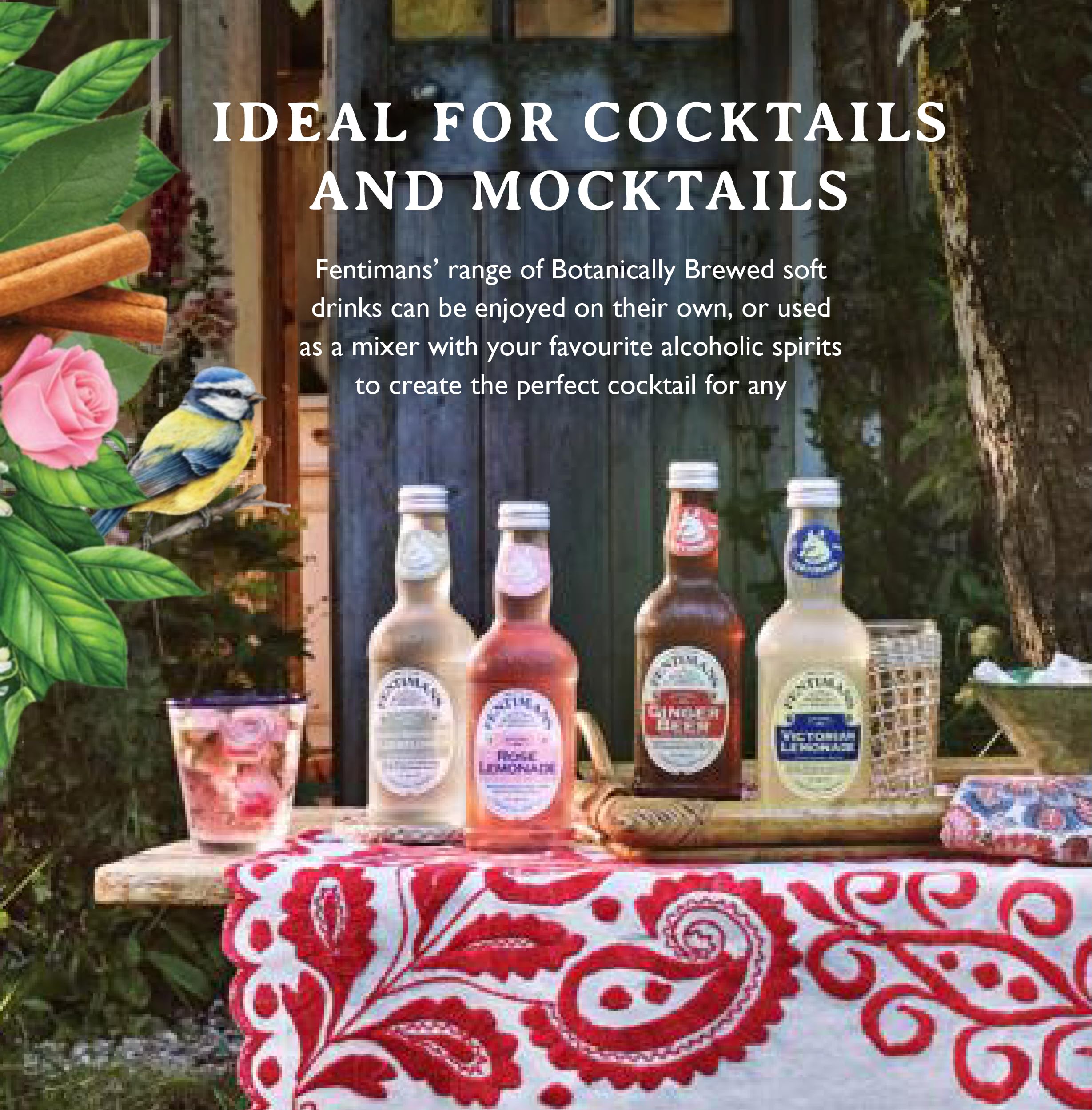 Fentimans Valencian Orange Tonic Water - Botanically Brewed Mixer with Lemongrass & Quinine - 1.68kg 6