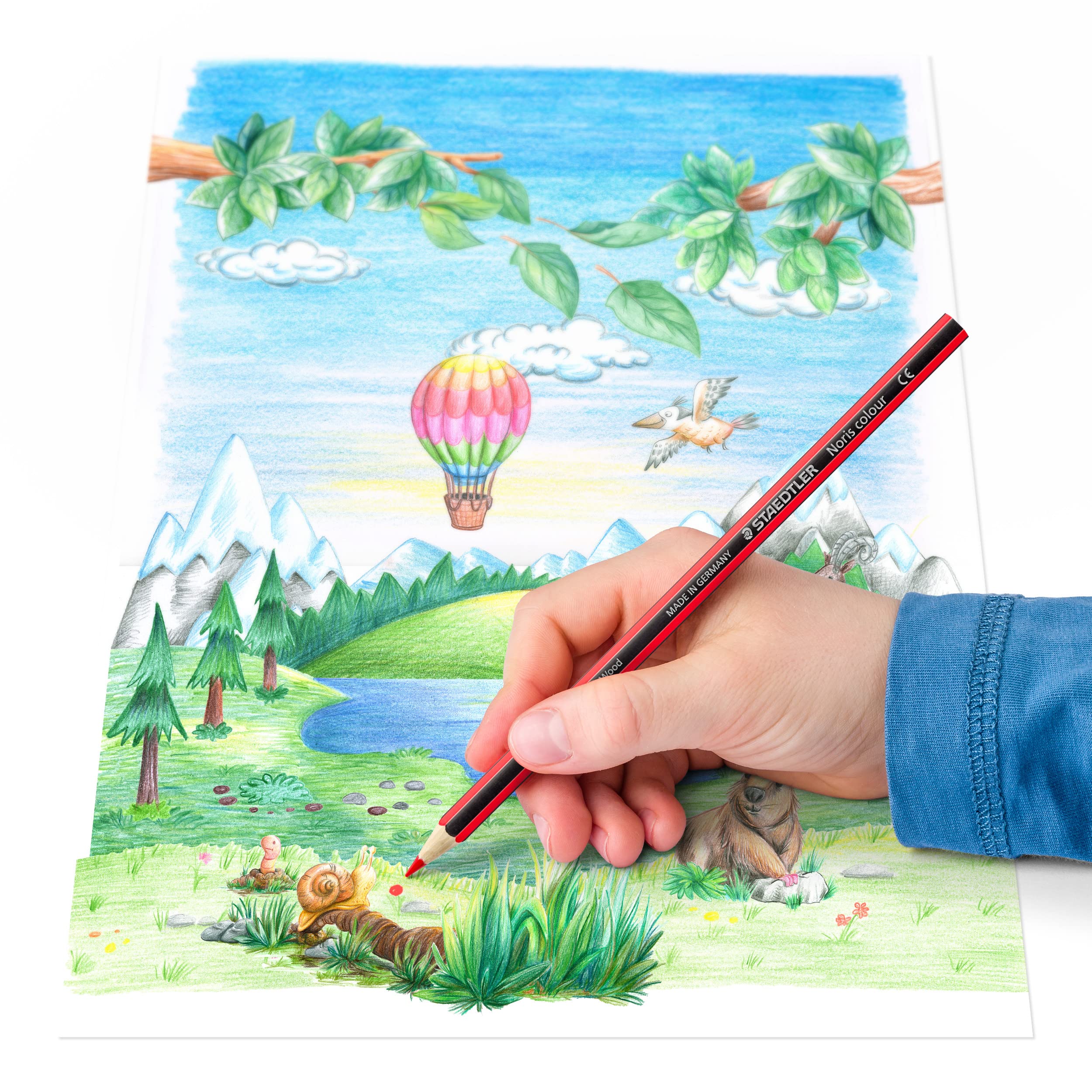 STAEDTLER Coloured Pencils - Noris Colour - Hexagonal - 24 Assorted Colours - Pack of 24-185 CD24 7