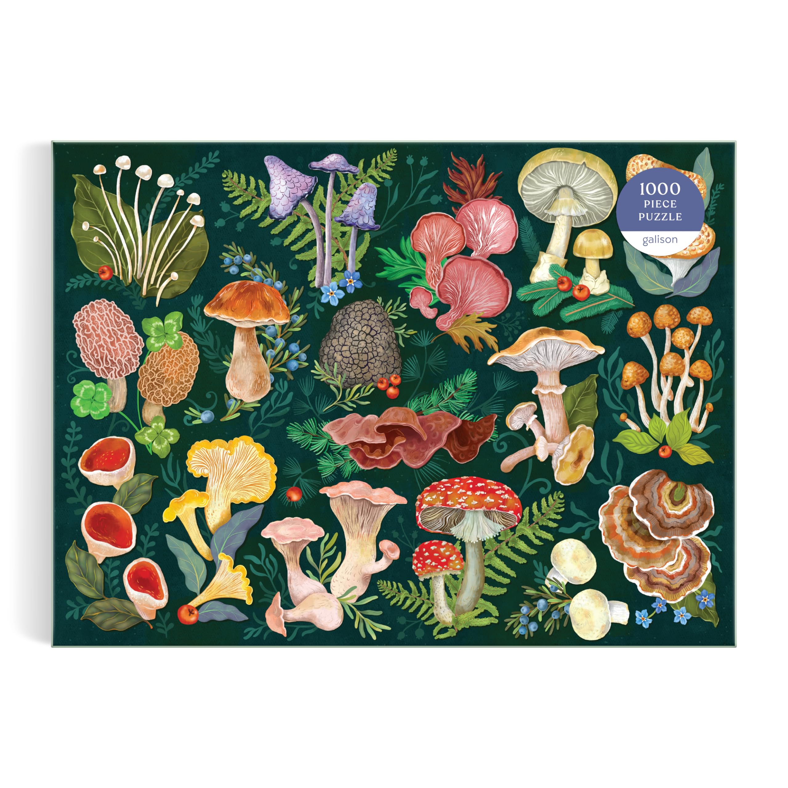 Galison World of Mushrooms 1000 Piece Jigsaw Puzzle | Features Glossary of Species 7