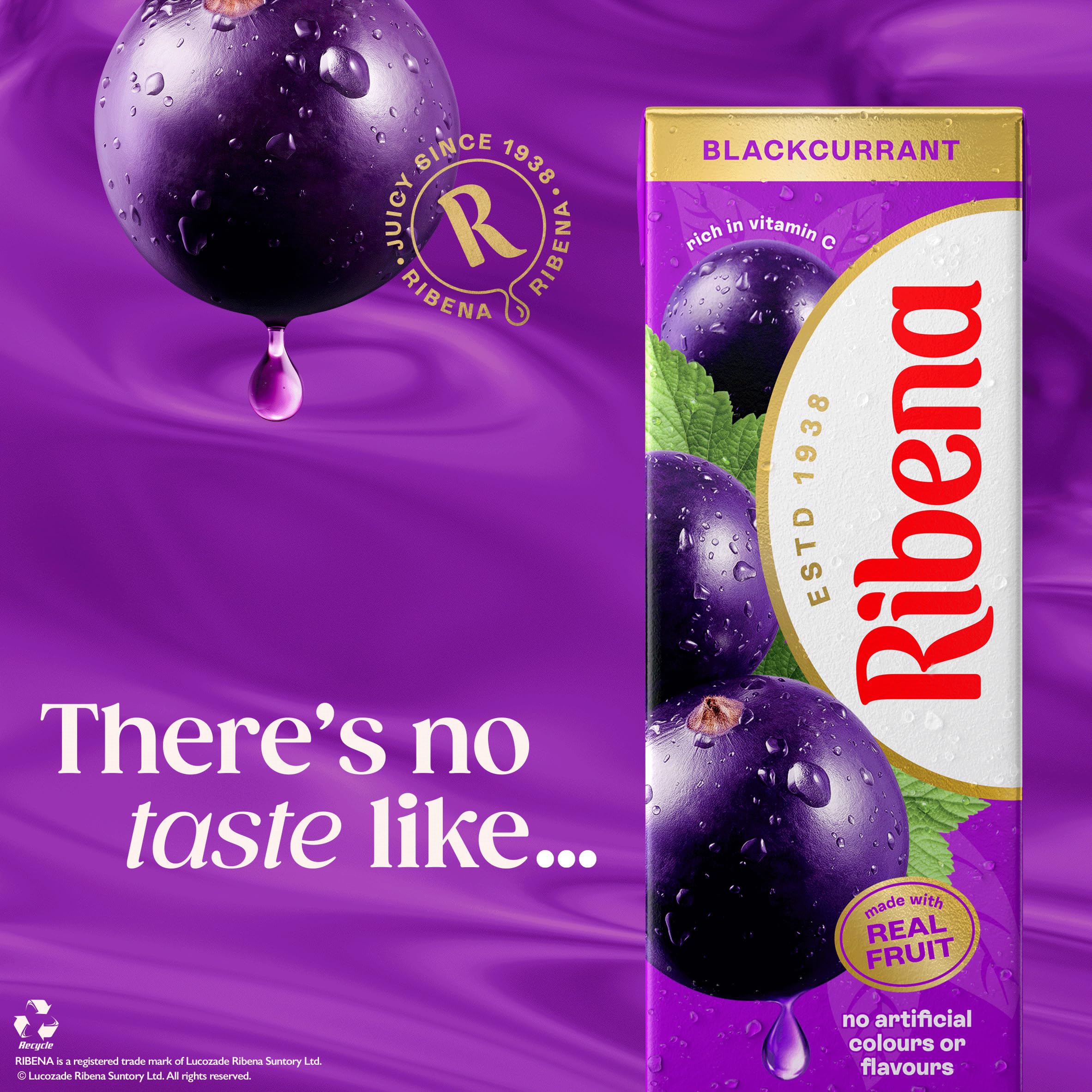 Ribena - Blackcurrant Juice Drink 1L Carton 3