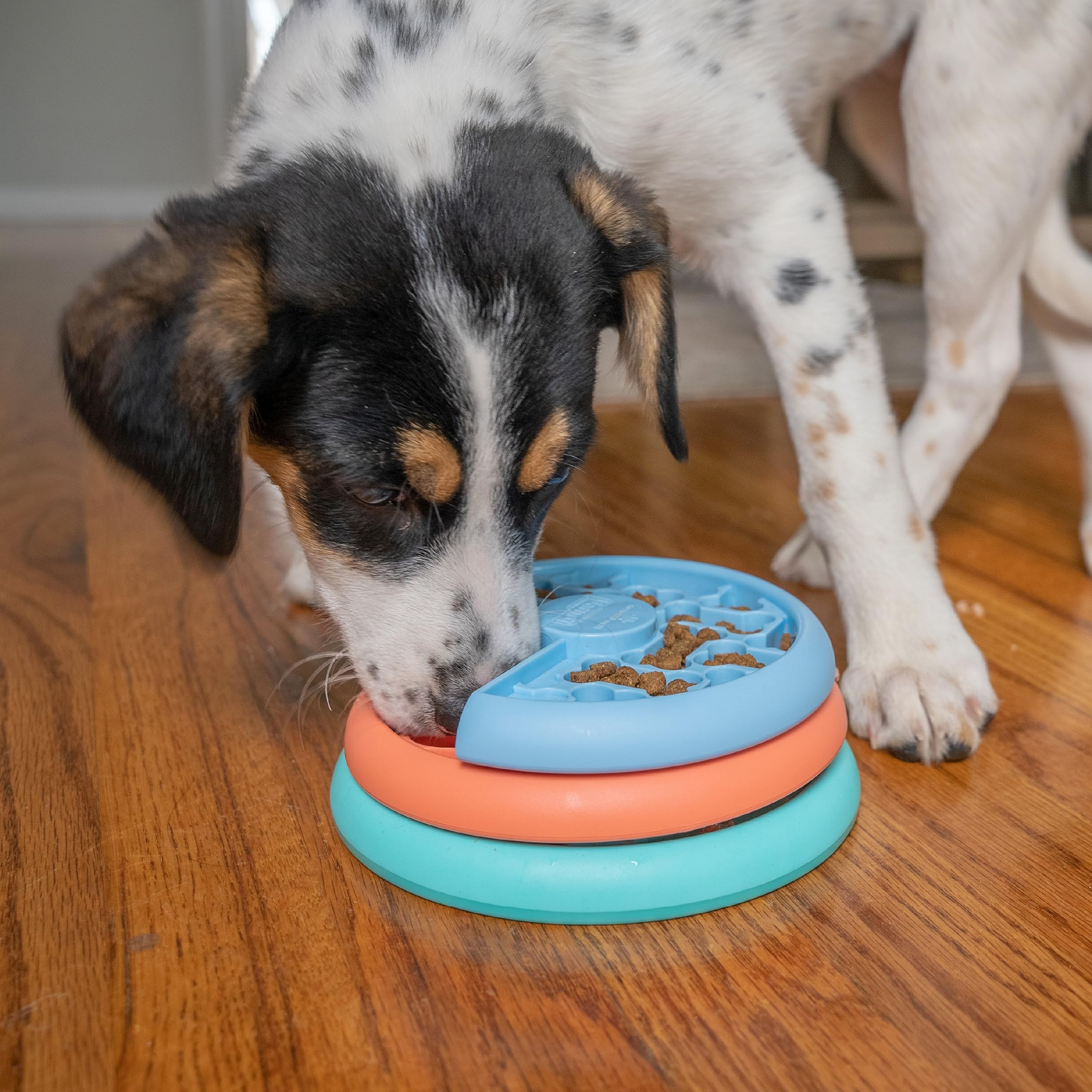 Outward Hound Nina Ottosson Puppy Lickin' Layers Interactive Dog Puzzle Game | Level 2 Intermediate | Small Size 5