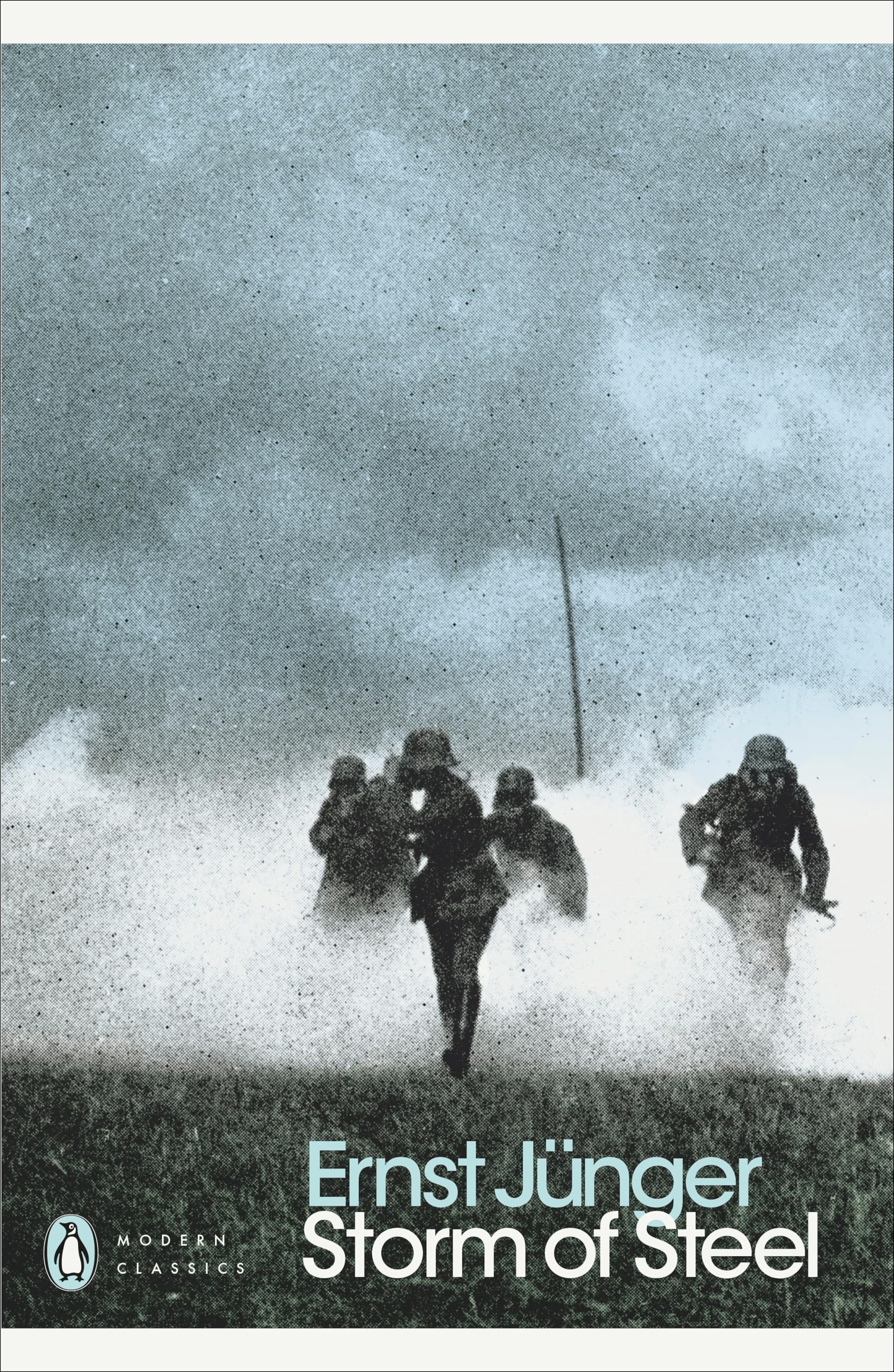 Penguin Storm of Steel - World War I Memoir | 320 Pages | Paperback