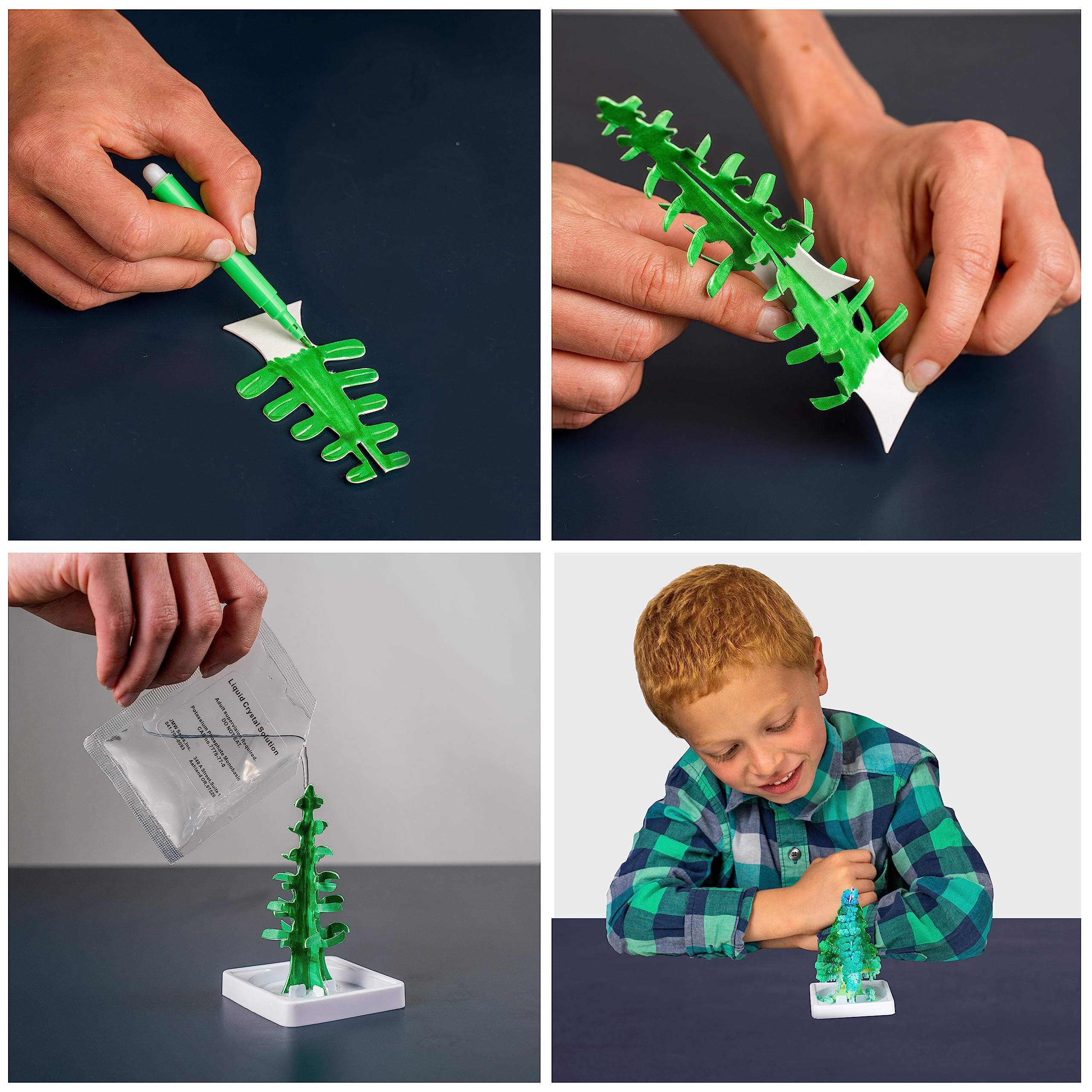 National Geographic Crystal Garden Growing Kit - Science Experiment for Kids 8+ 3