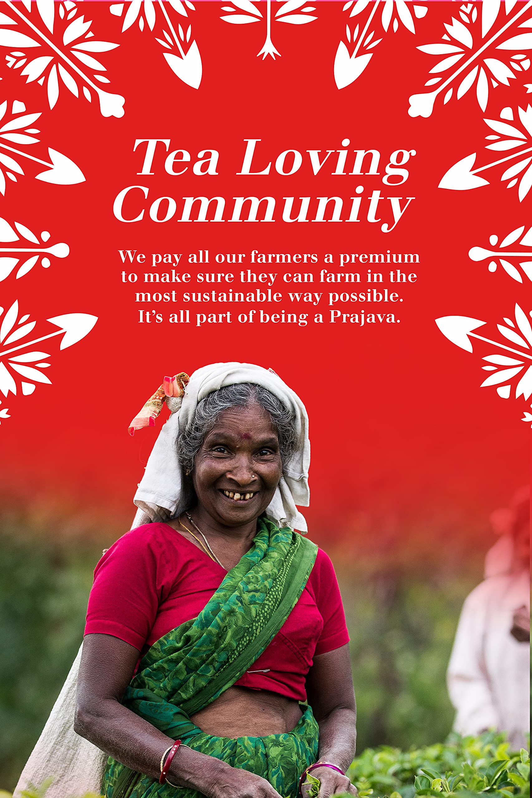 English Tea Shop Premium Holiday Collection Red Gift Tin - Organic Tea Variety Pack (72 Tea Bags) 5